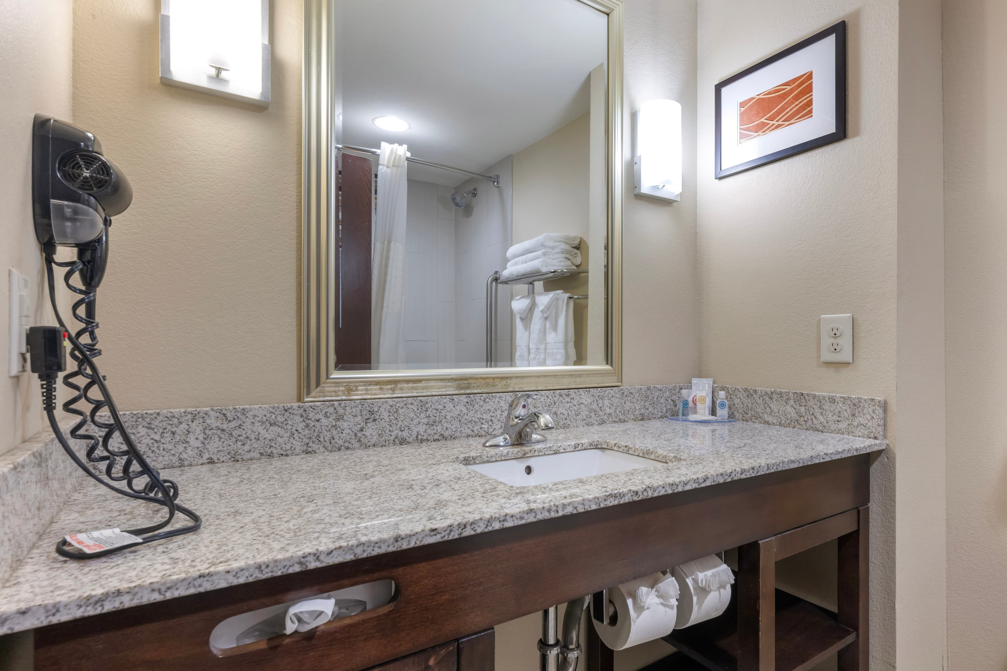 Comfort Inn & Suites Artesia — 21