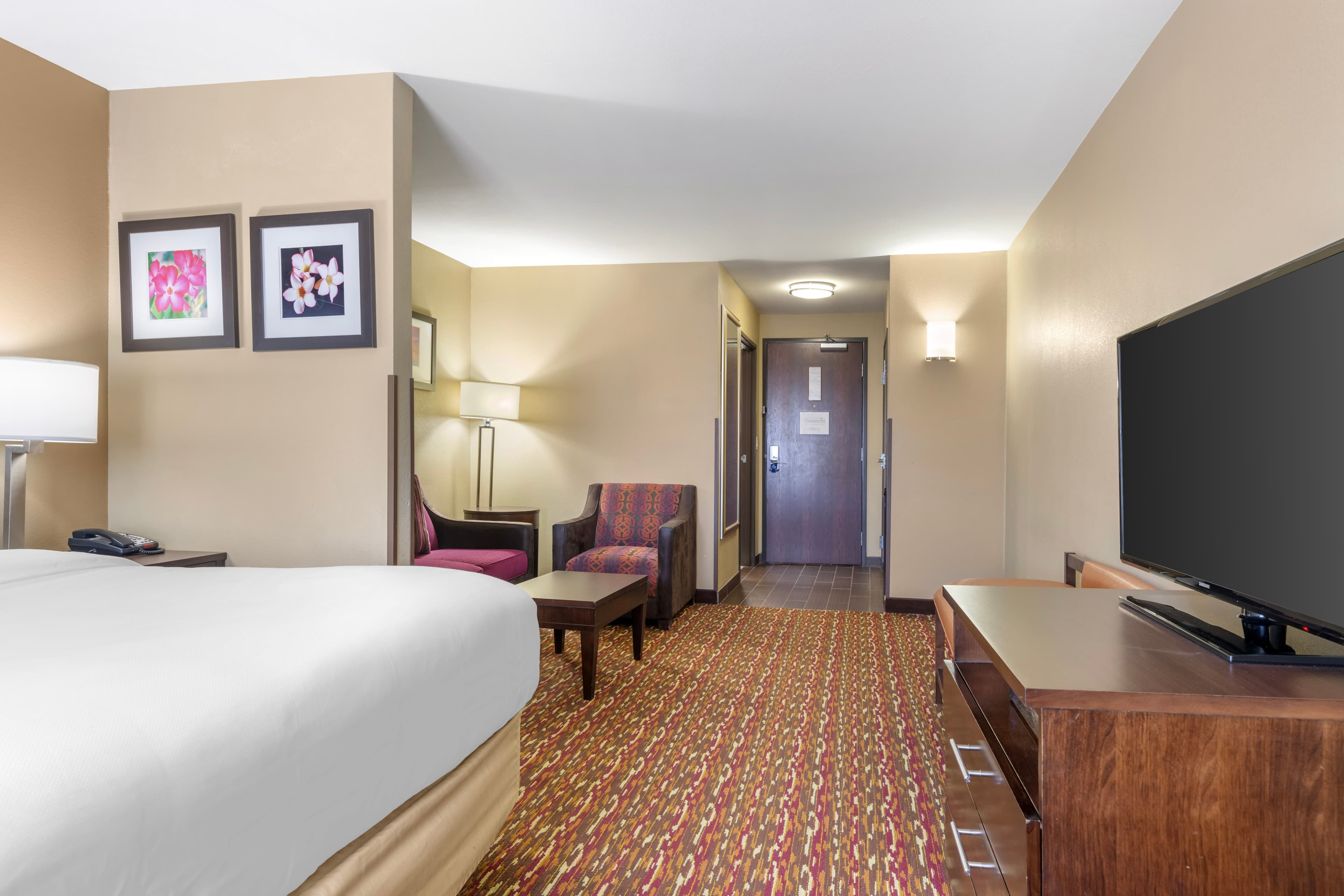 Comfort Inn & Suites Artesia — 24