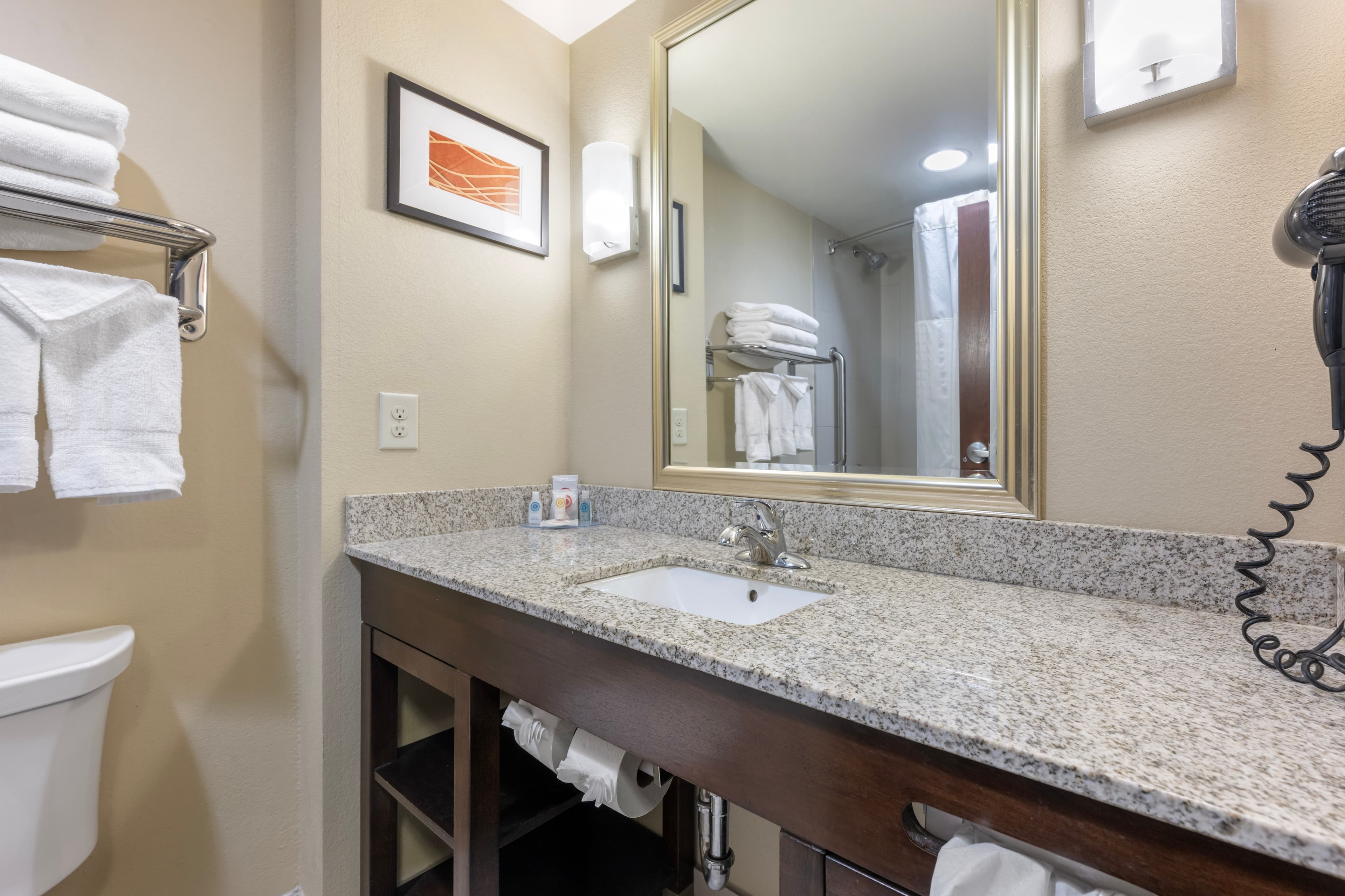 Comfort Inn & Suites Artesia — 25