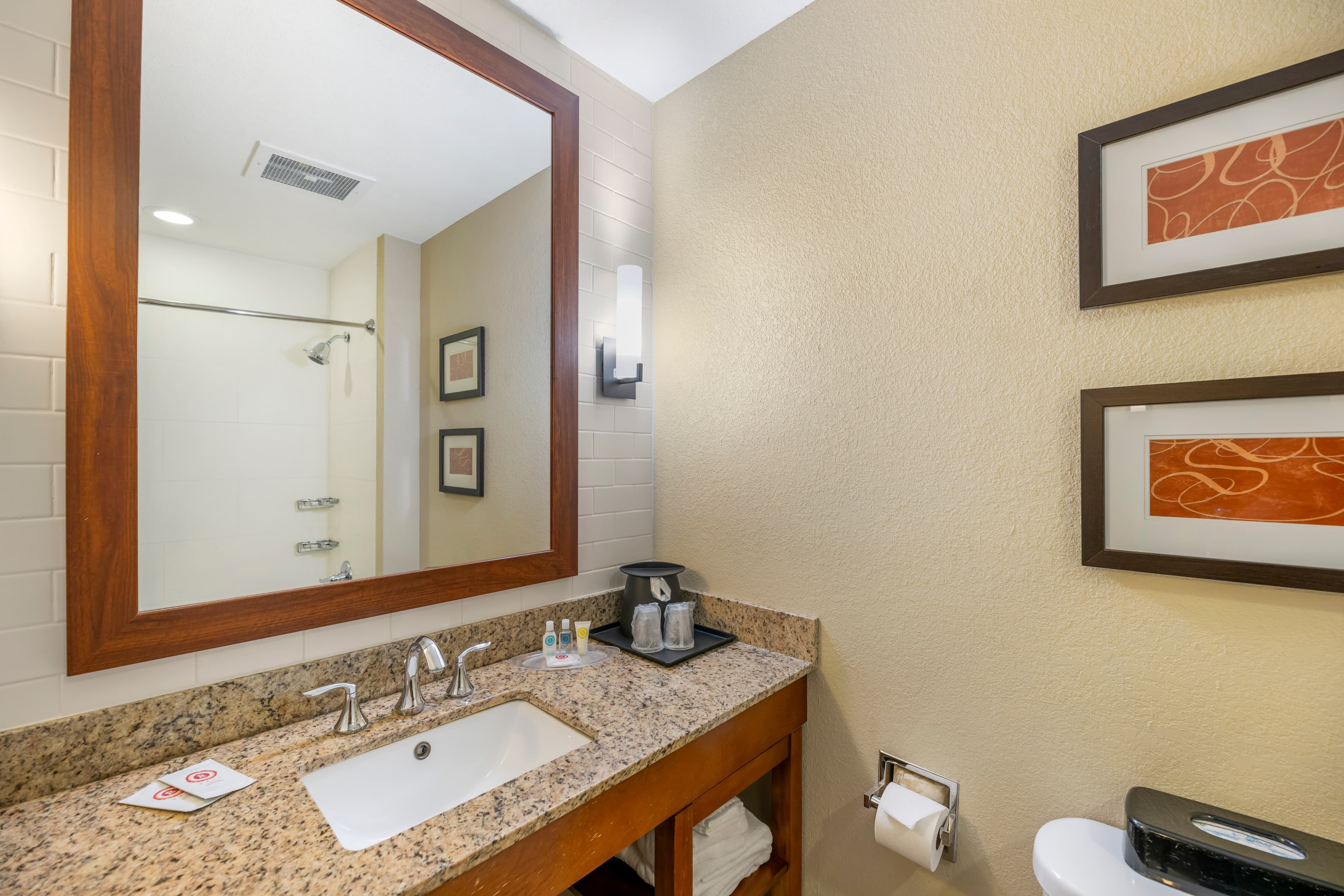 Comfort Suites Carlsbad — 21