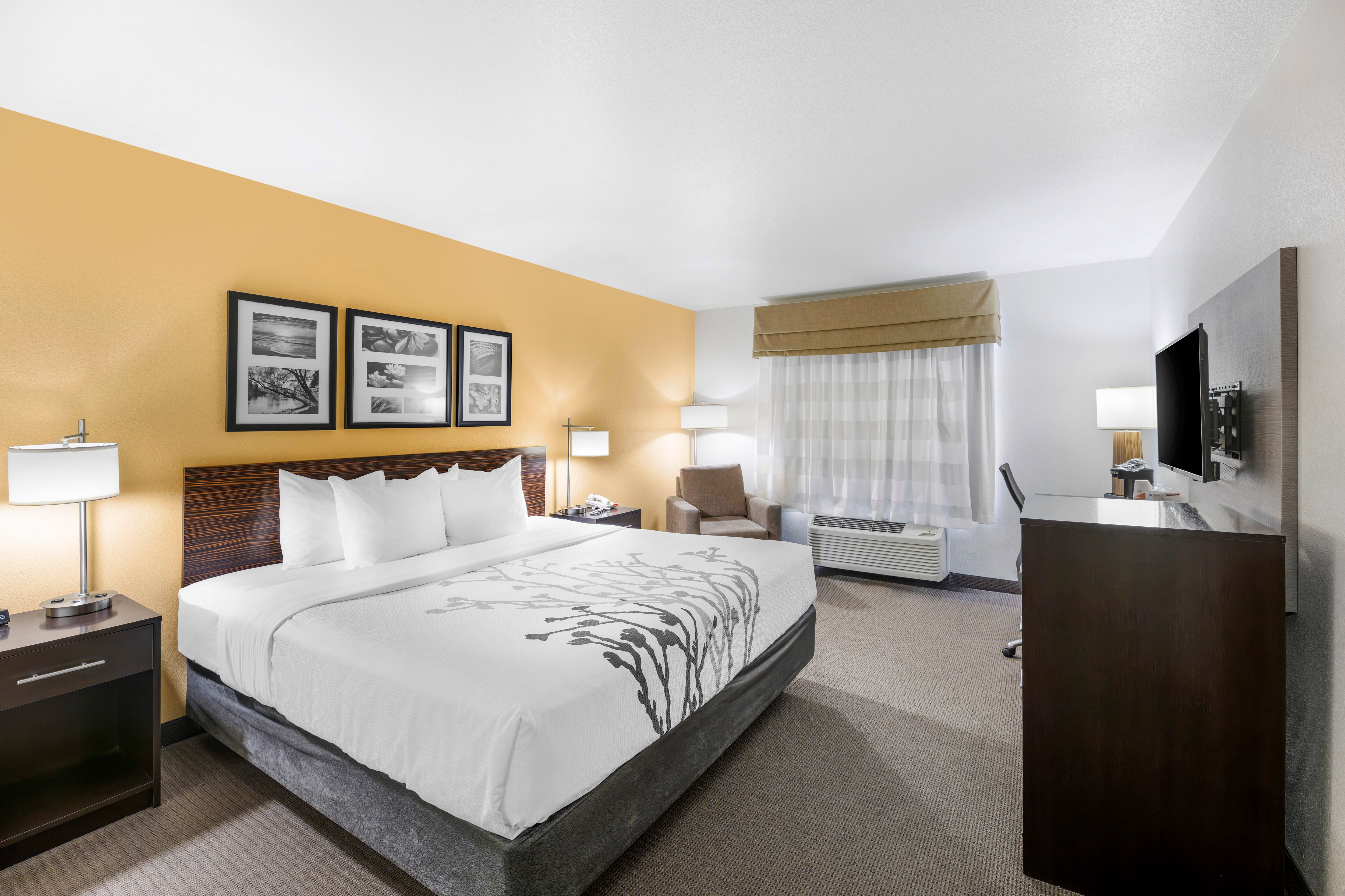 Sleep Inn & Suites Carlsbad Caverns Area - Image 2