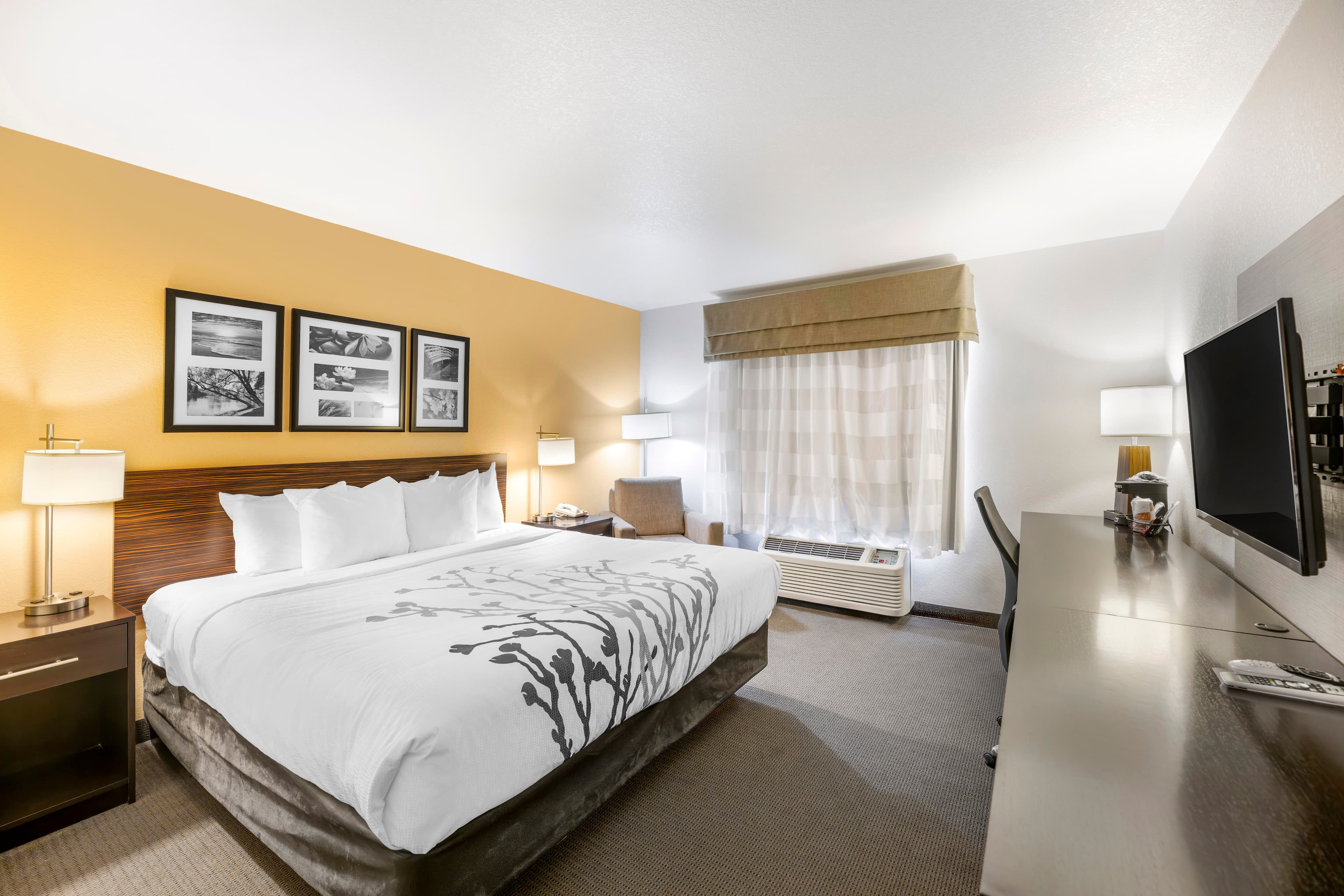 Sleep Inn & Suites Carlsbad Caverns Area — 13