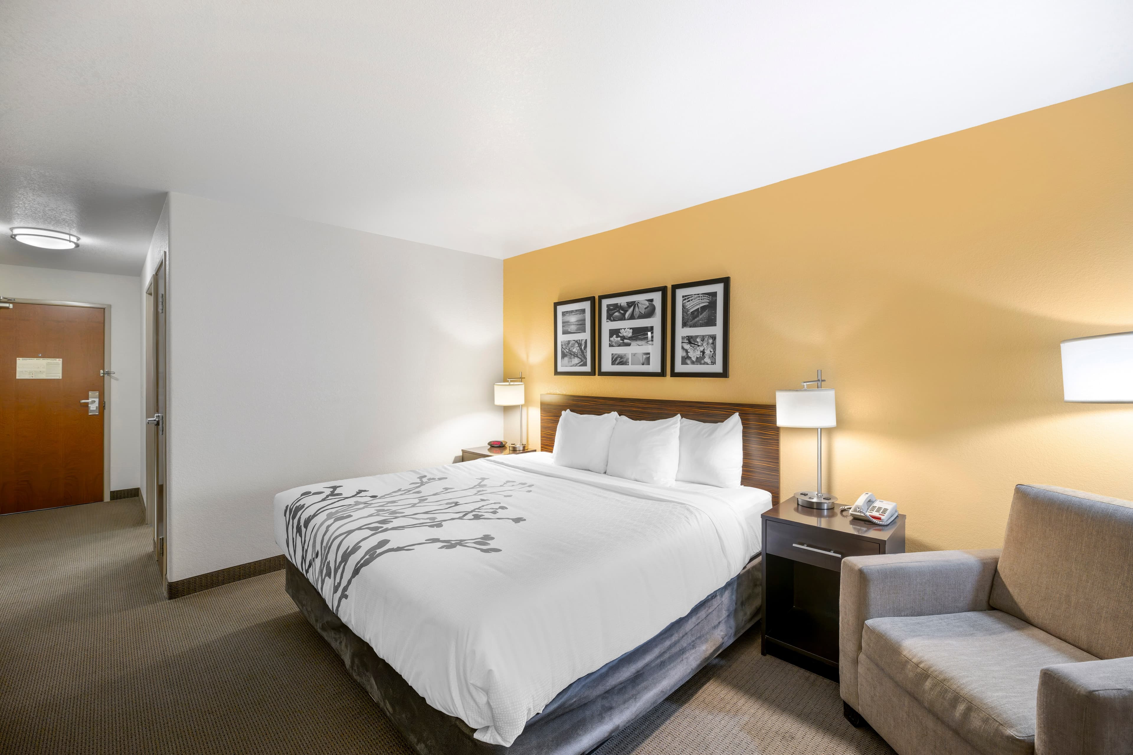Sleep Inn & Suites Carlsbad Caverns Area — 14