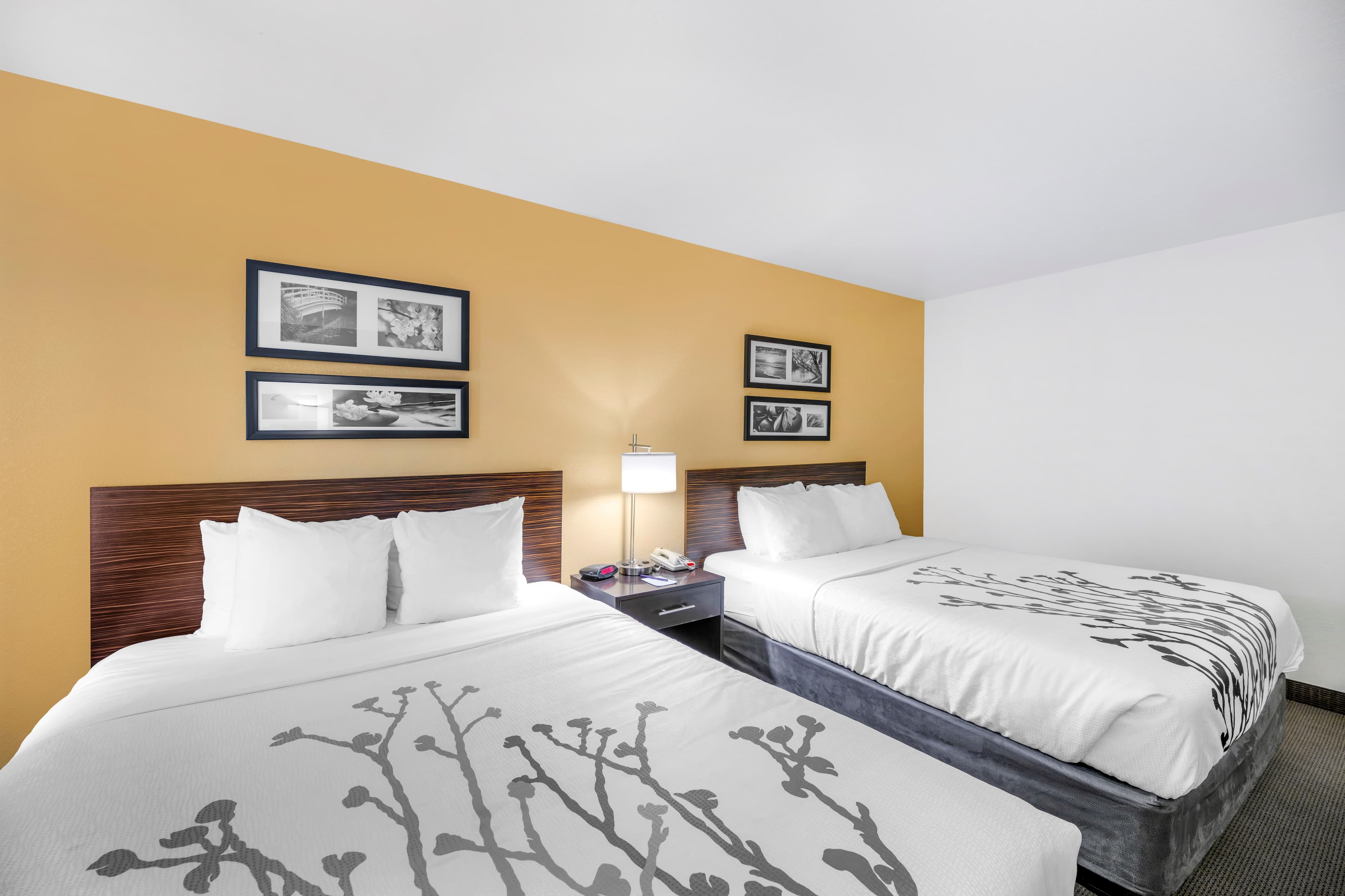 Sleep Inn & Suites Carlsbad Caverns Area — 10