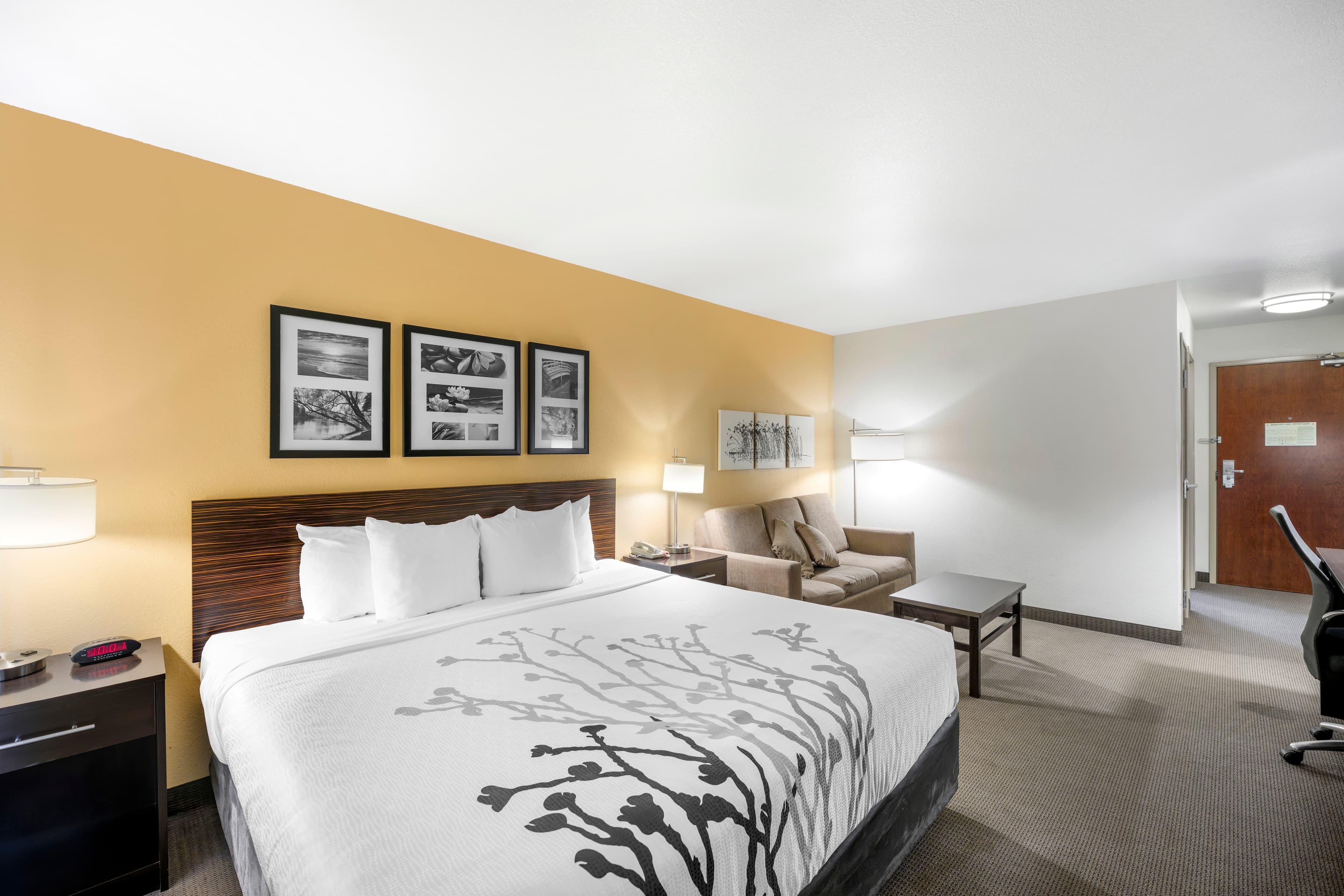 Sleep Inn & Suites Carlsbad Caverns Area — 30