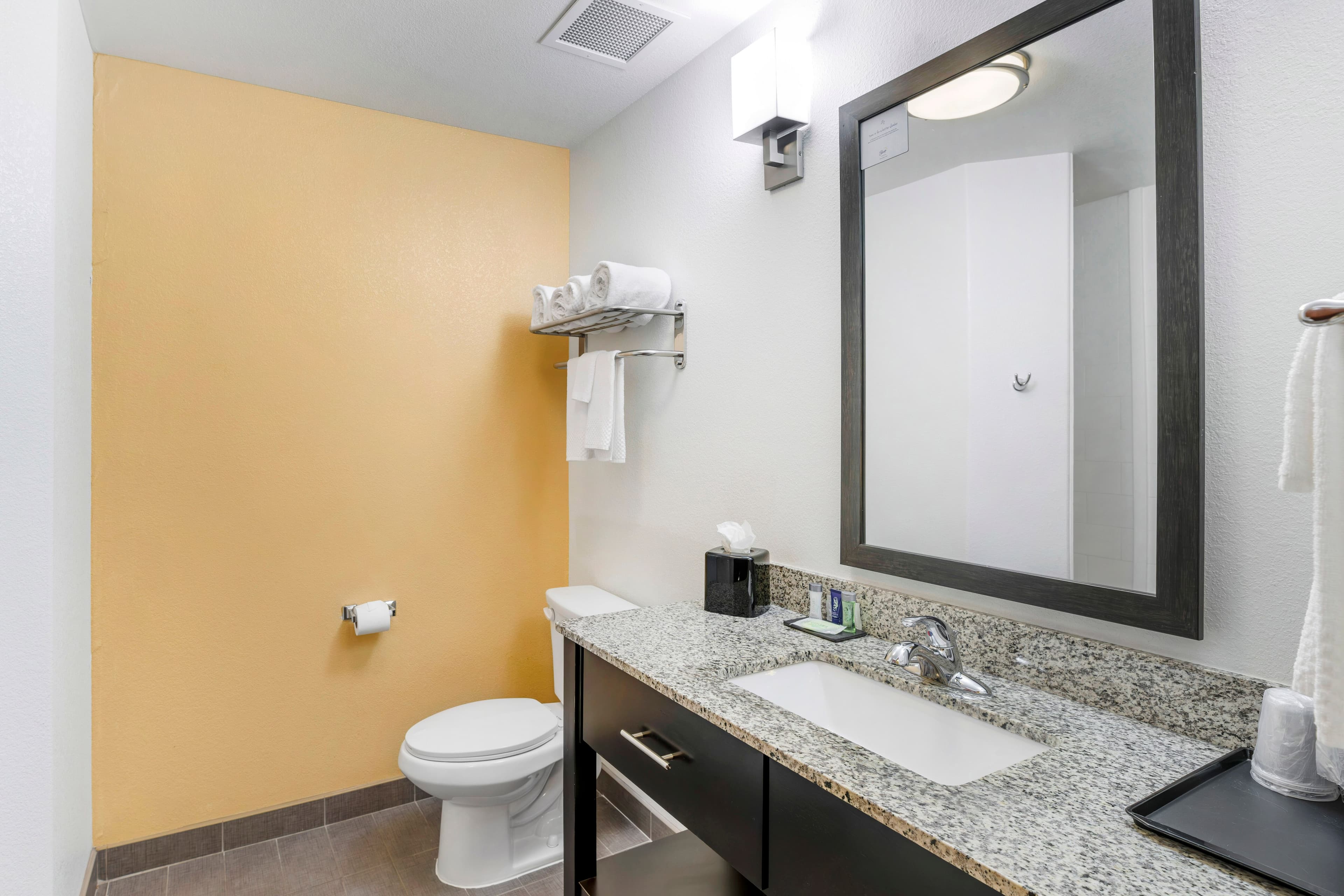 Sleep Inn & Suites Carlsbad Caverns Area — 35