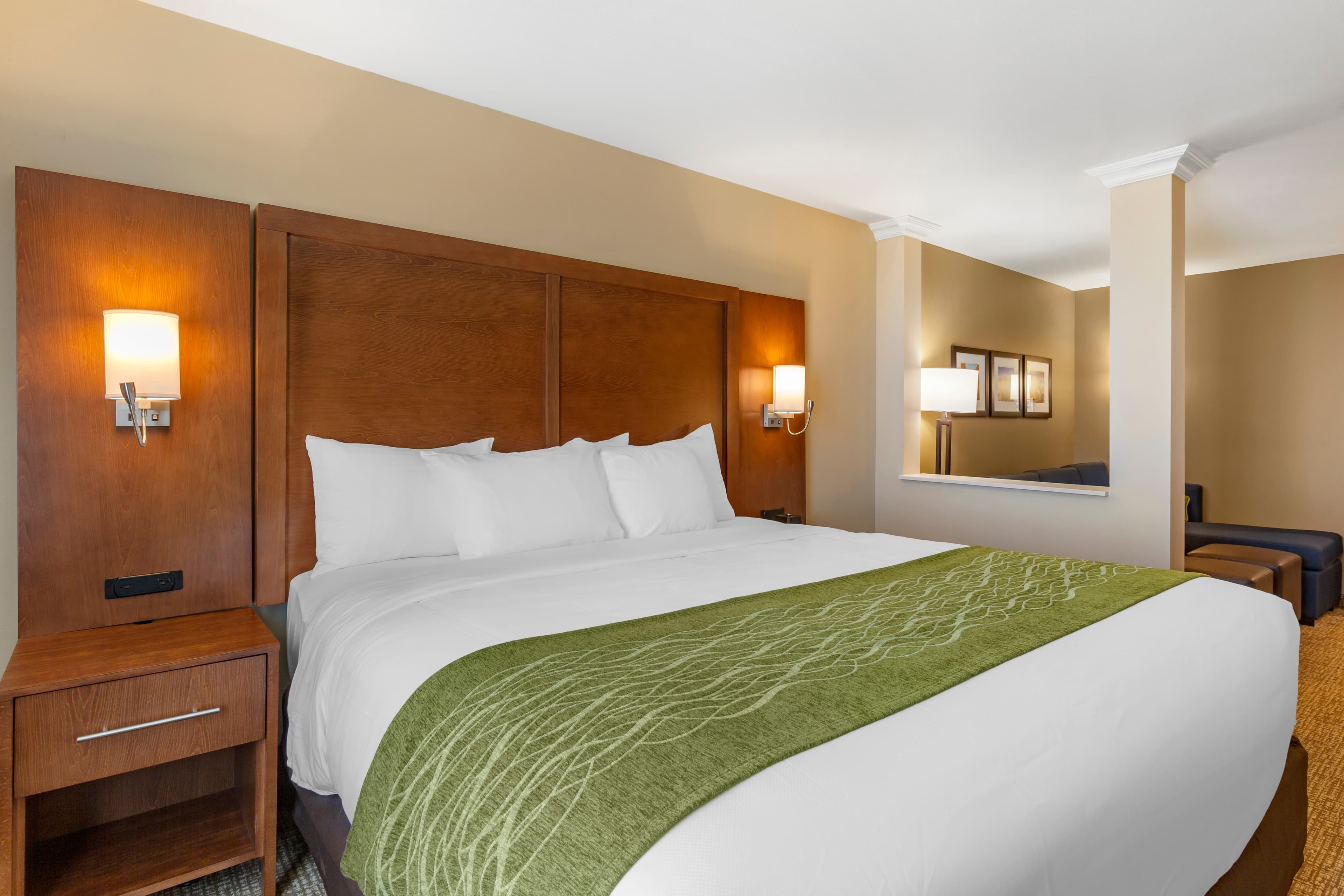 Comfort Suites Albuquerque Airport - Image 4