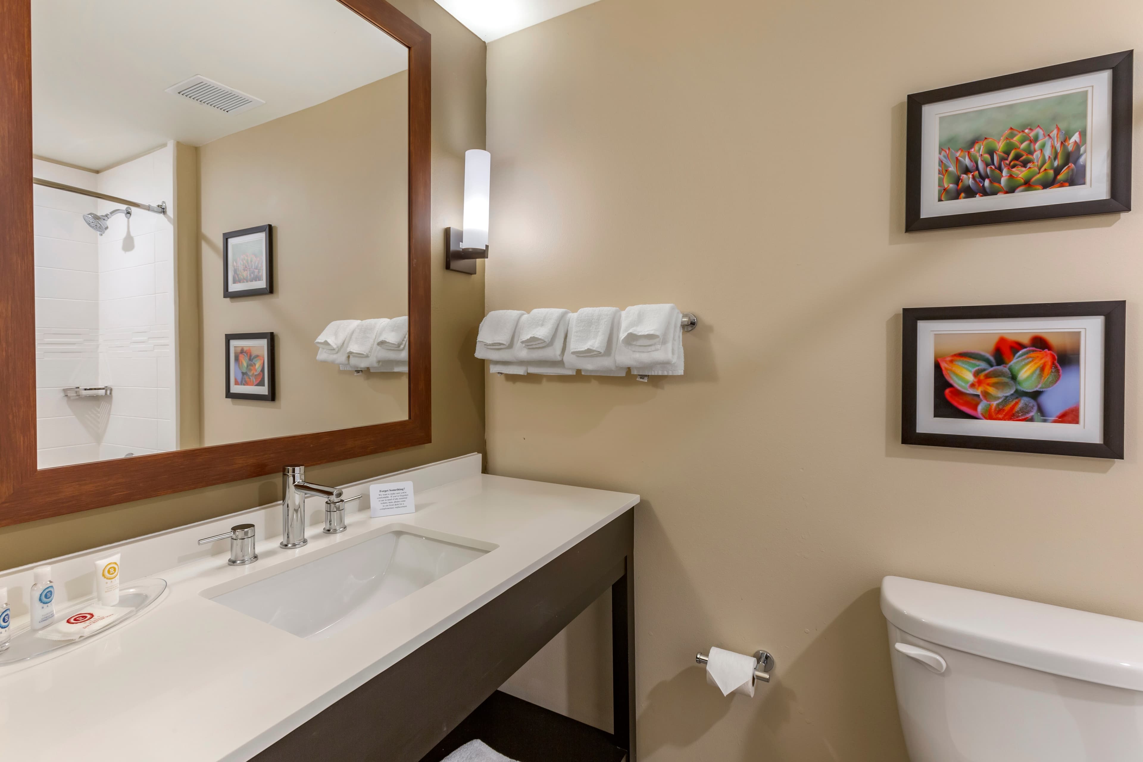Comfort Suites Albuquerque Airport — 38
