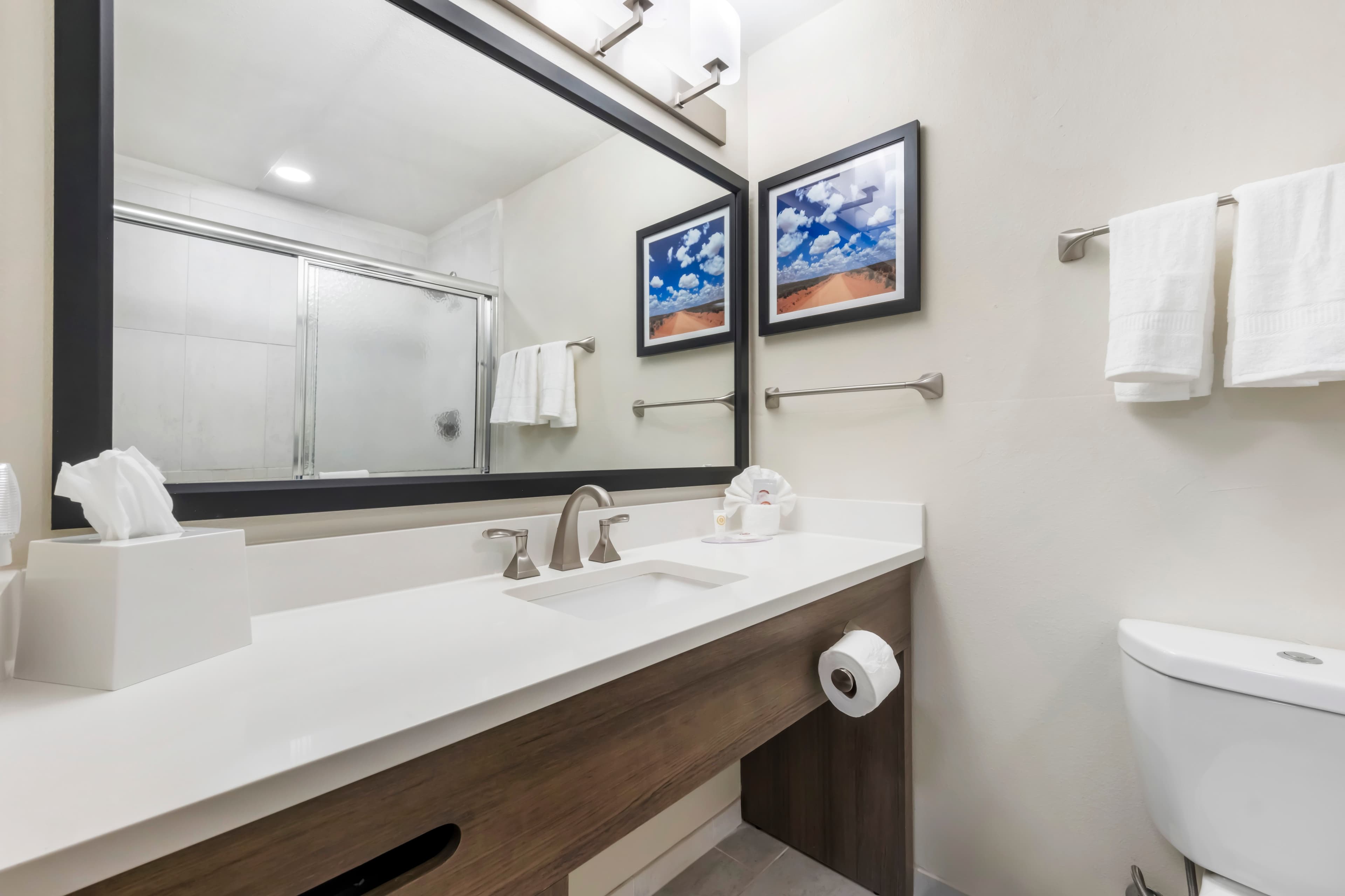 Comfort Inn Portales — 14