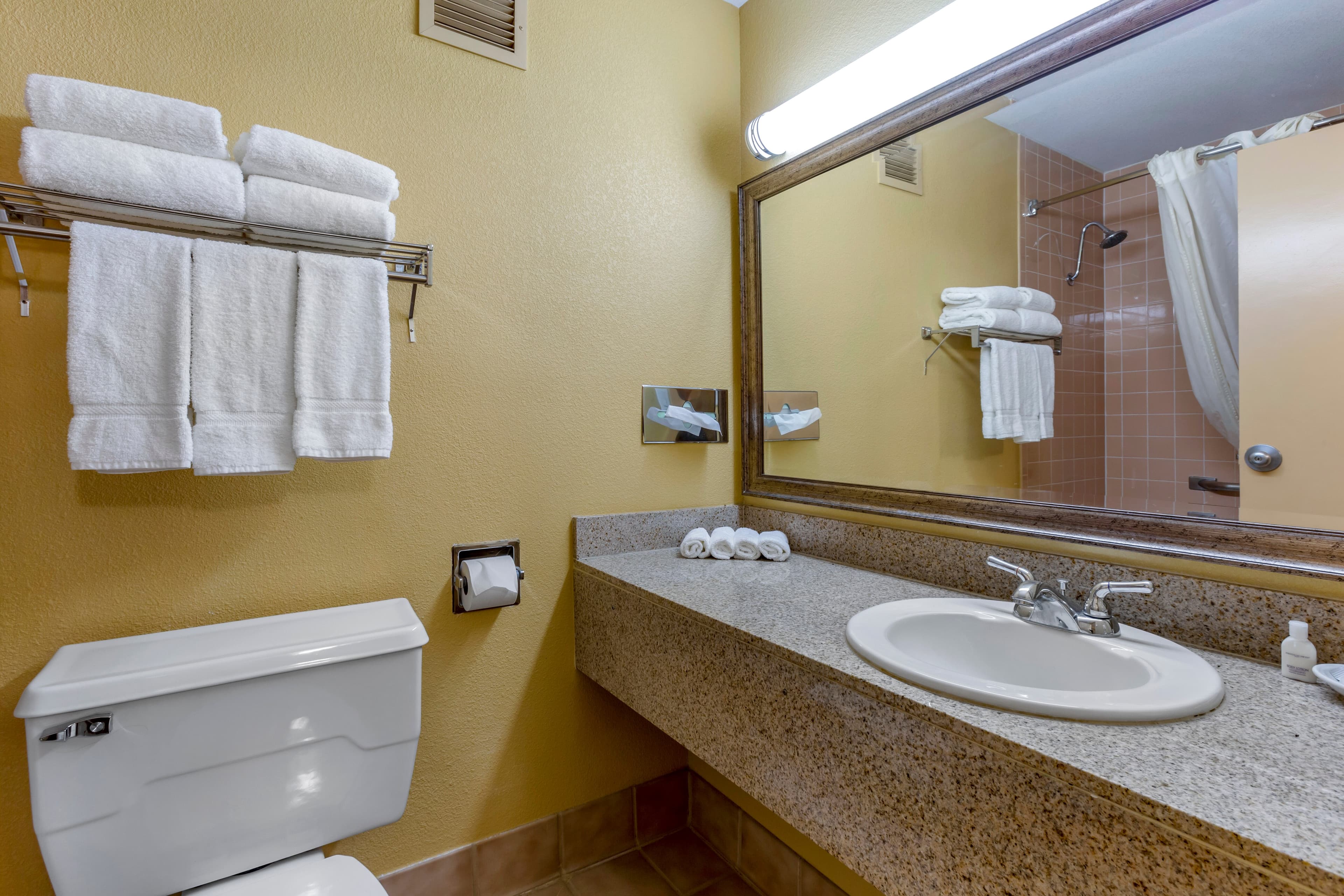 Clarion Inn & Suites Roswell - Image 5