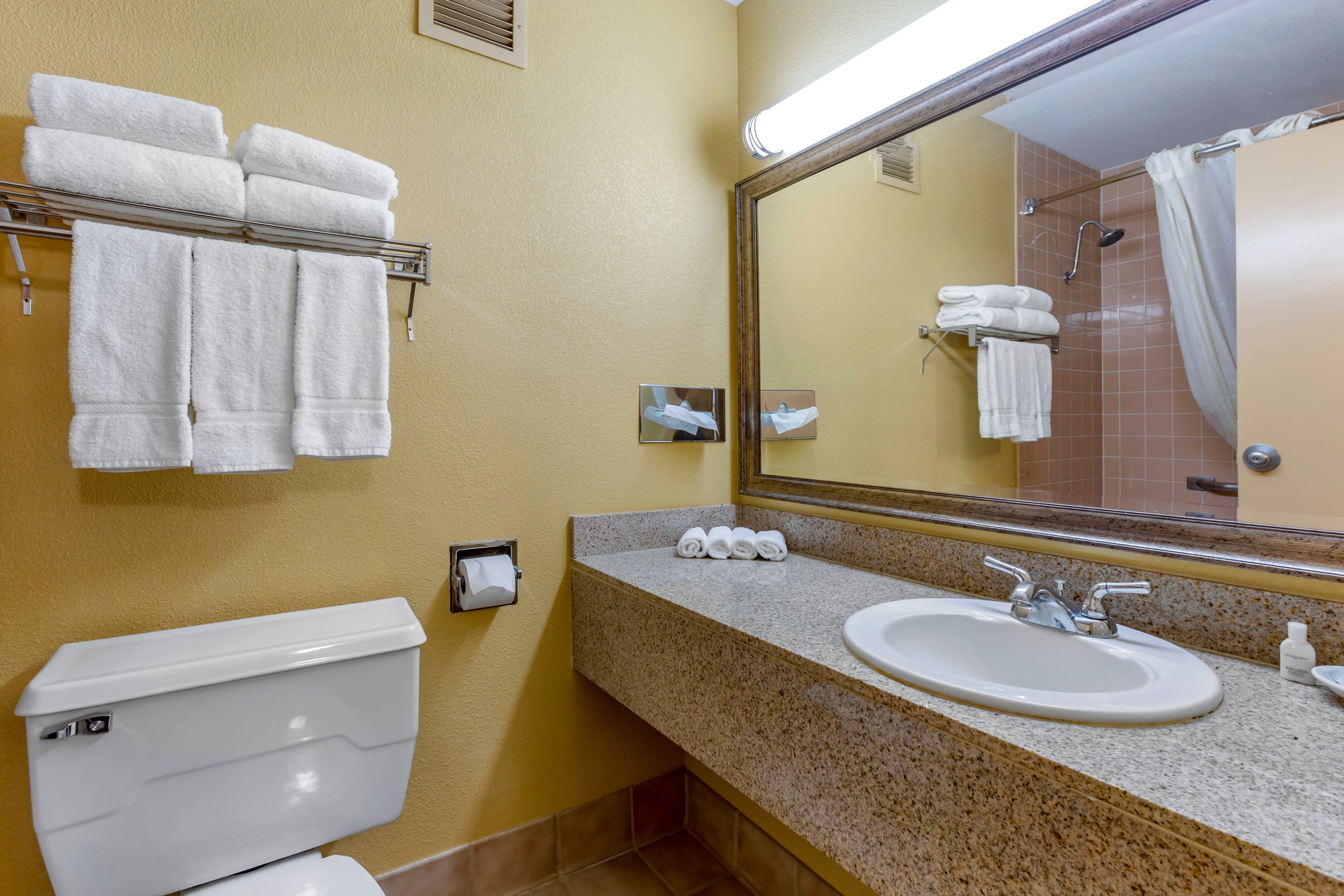 Clarion Inn & Suites Roswell — 9