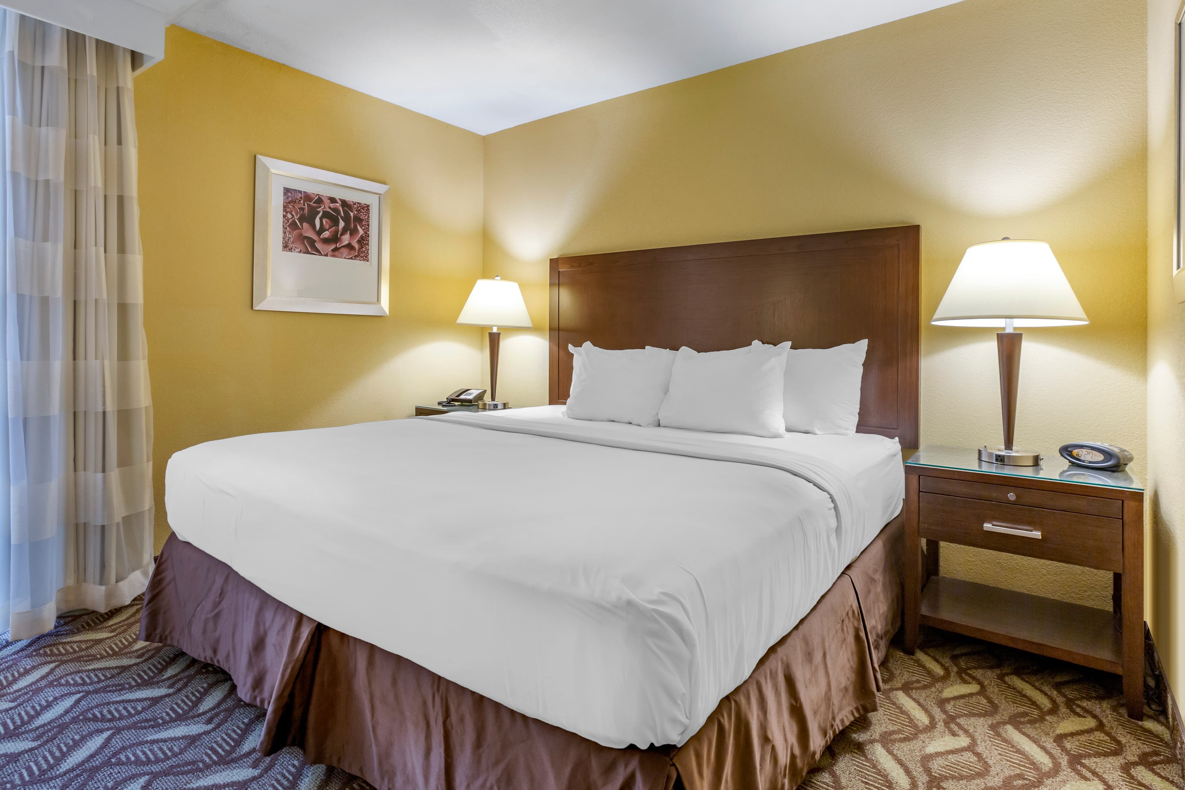 Clarion Inn & Suites Roswell — 11