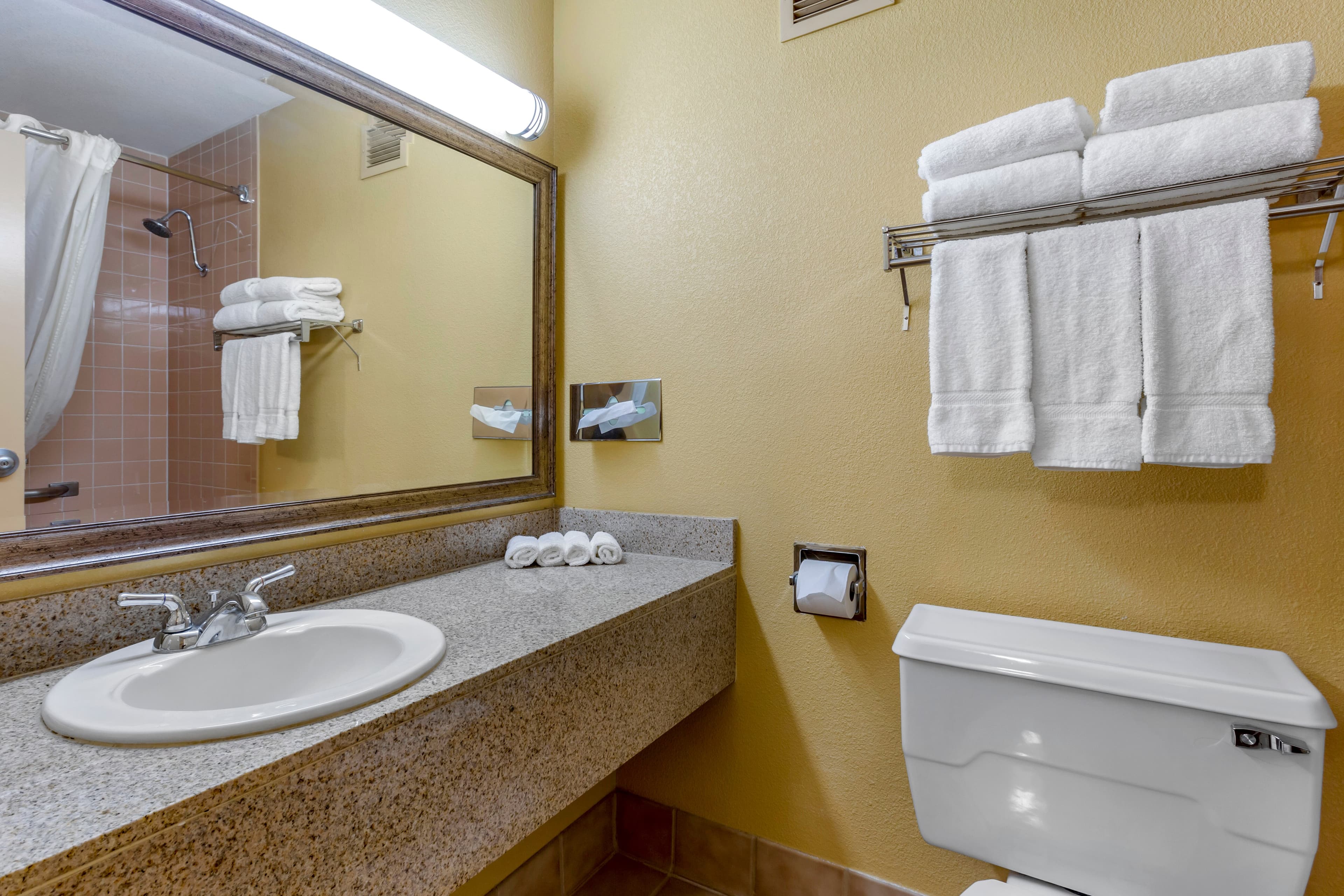 Clarion Inn & Suites Roswell — 13
