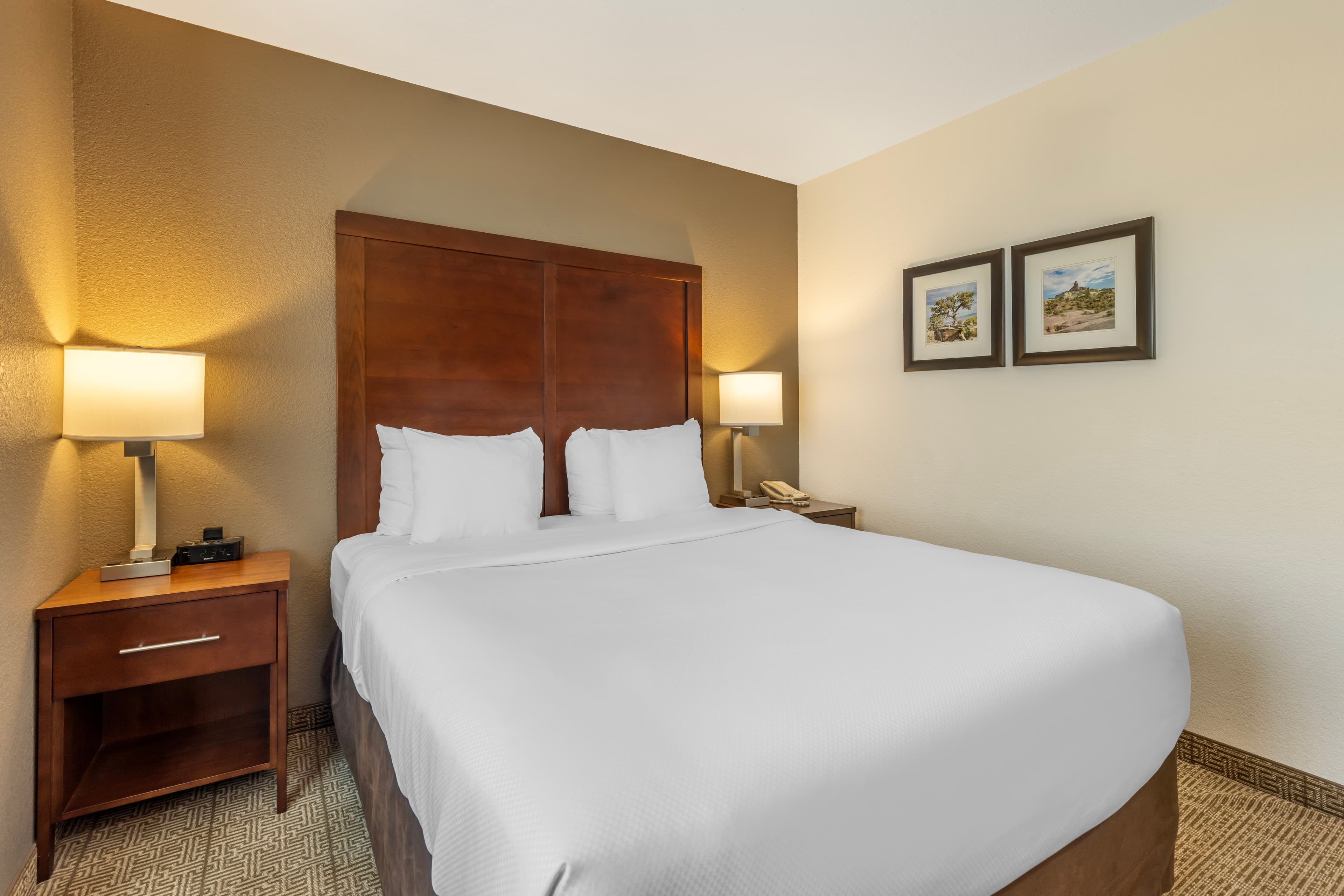 Comfort Inn & Suites Aztec - Farmington Area — 16