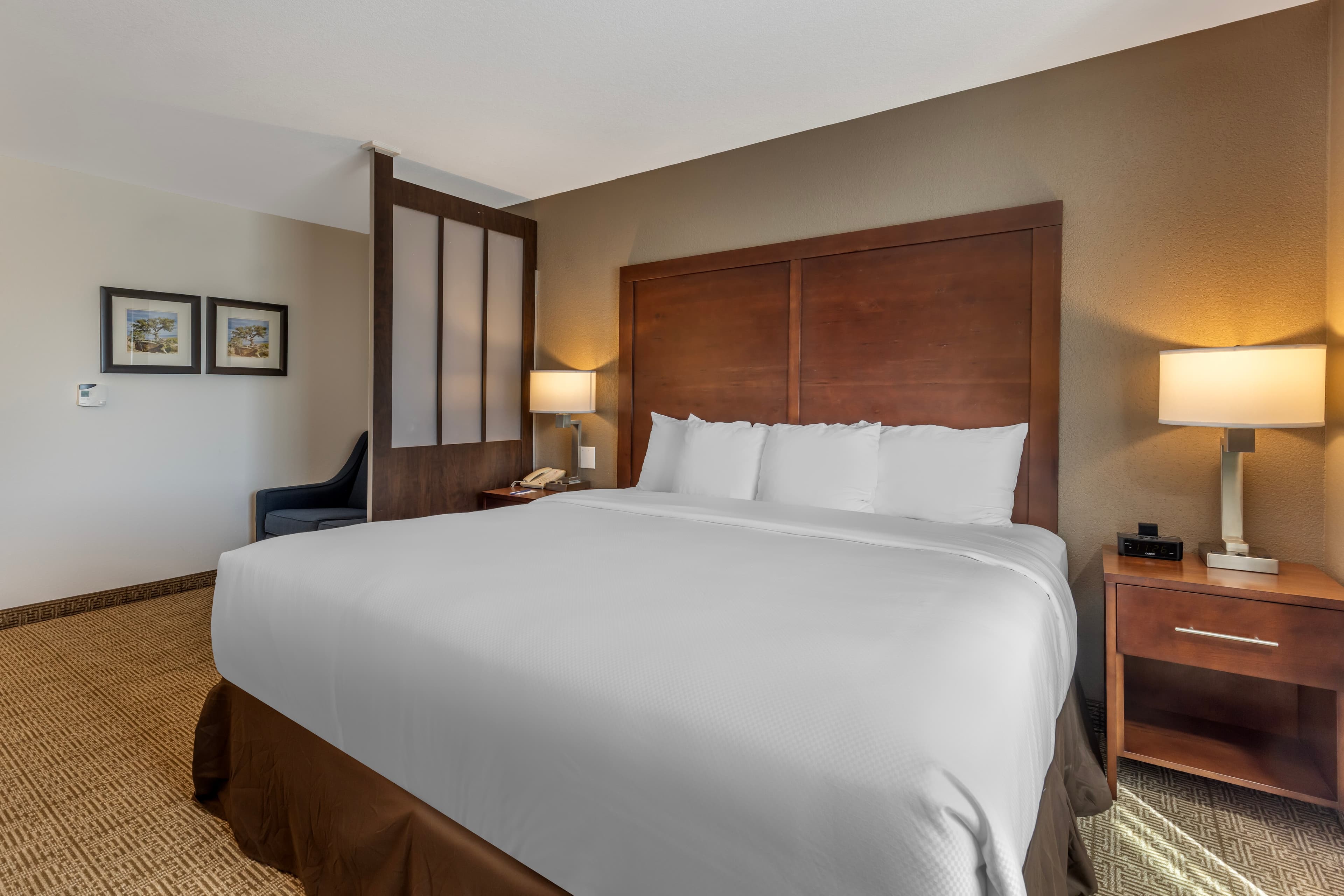 Comfort Inn & Suites Aztec - Farmington Area — 28