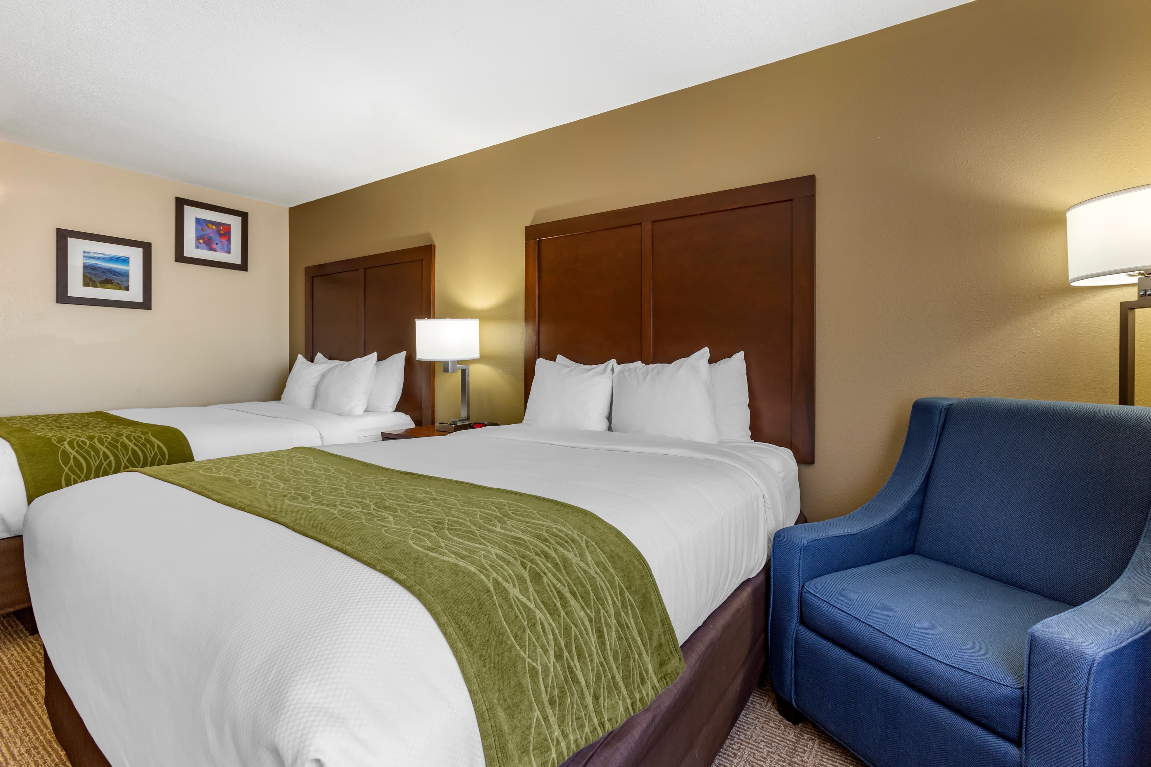 Comfort Inn & Suites Alameda at Albuquerque Balloon Fiesta Park - Image 4