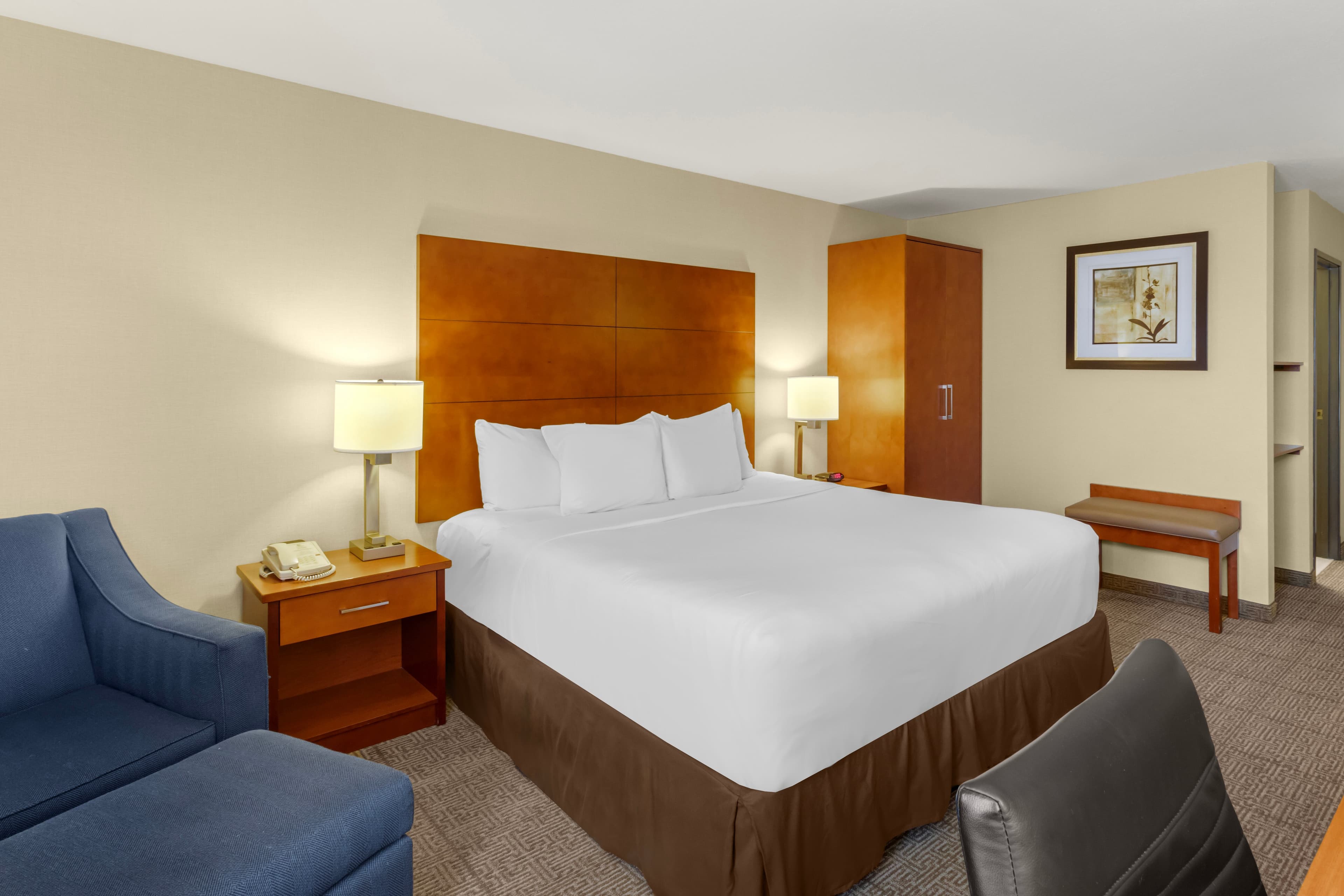 Comfort Inn & Suites Near Fallon Naval Air Station - Image 2