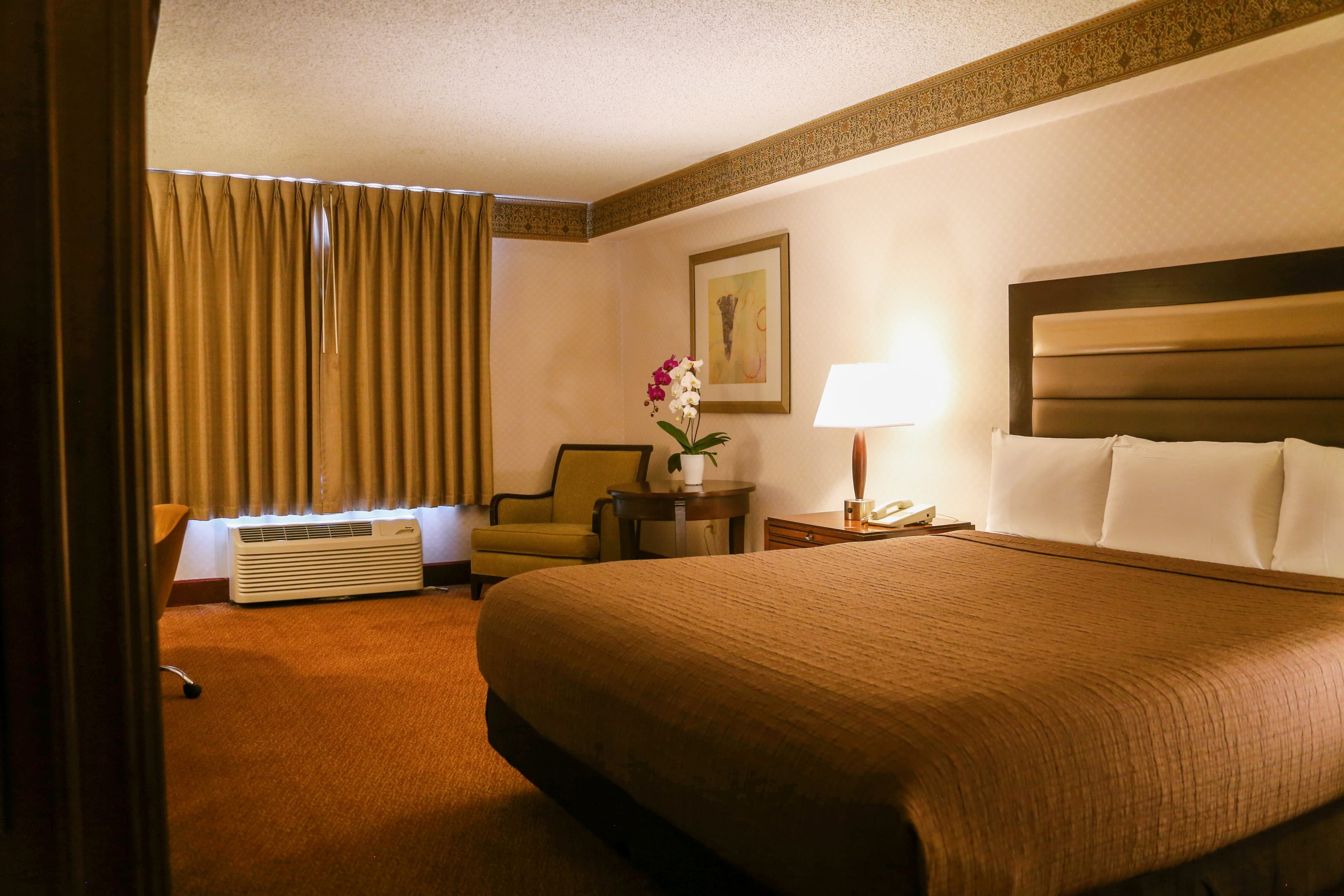 Circus Circus Hotel — 21