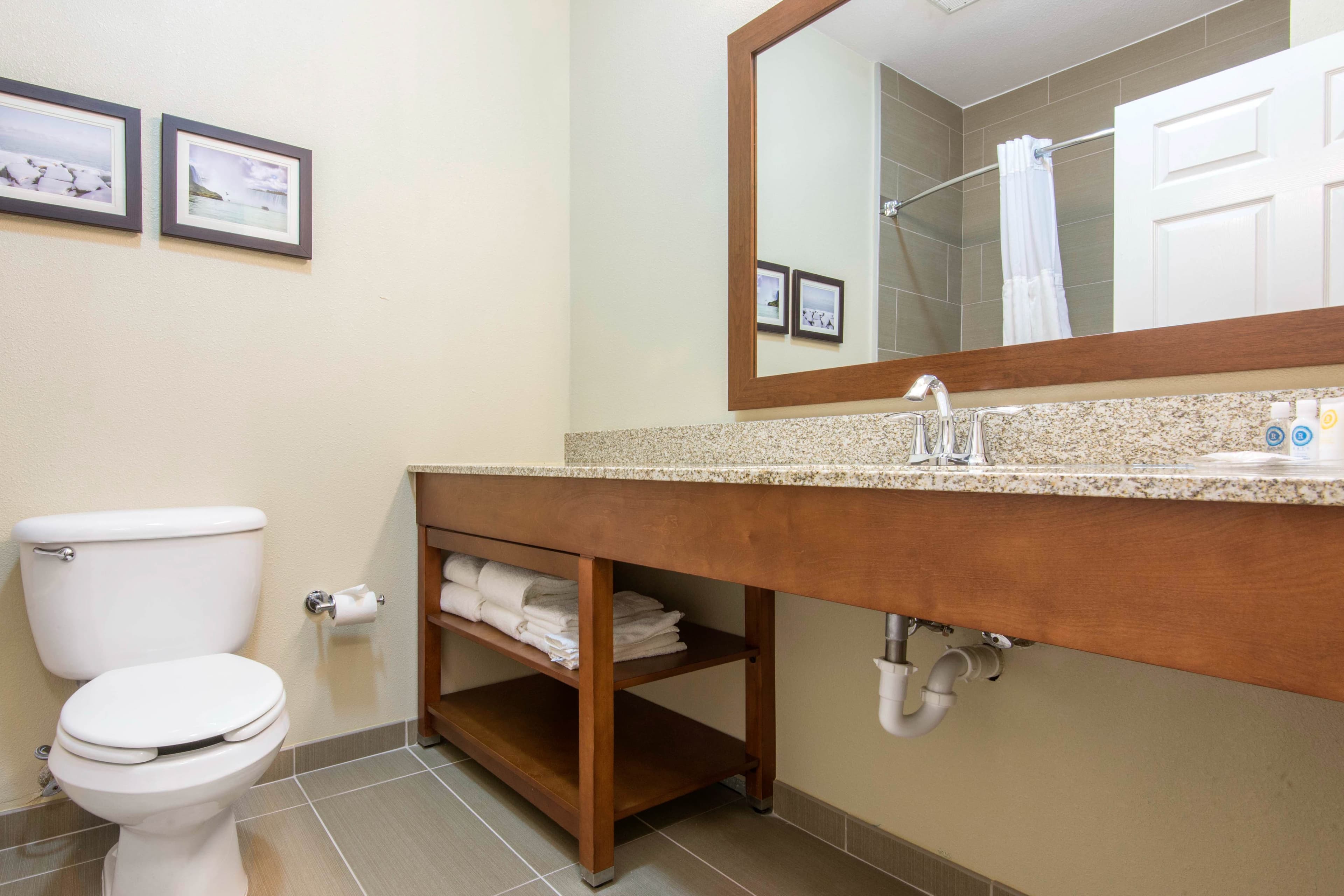 Comfort Suites Rochester Henrietta University Area — 23