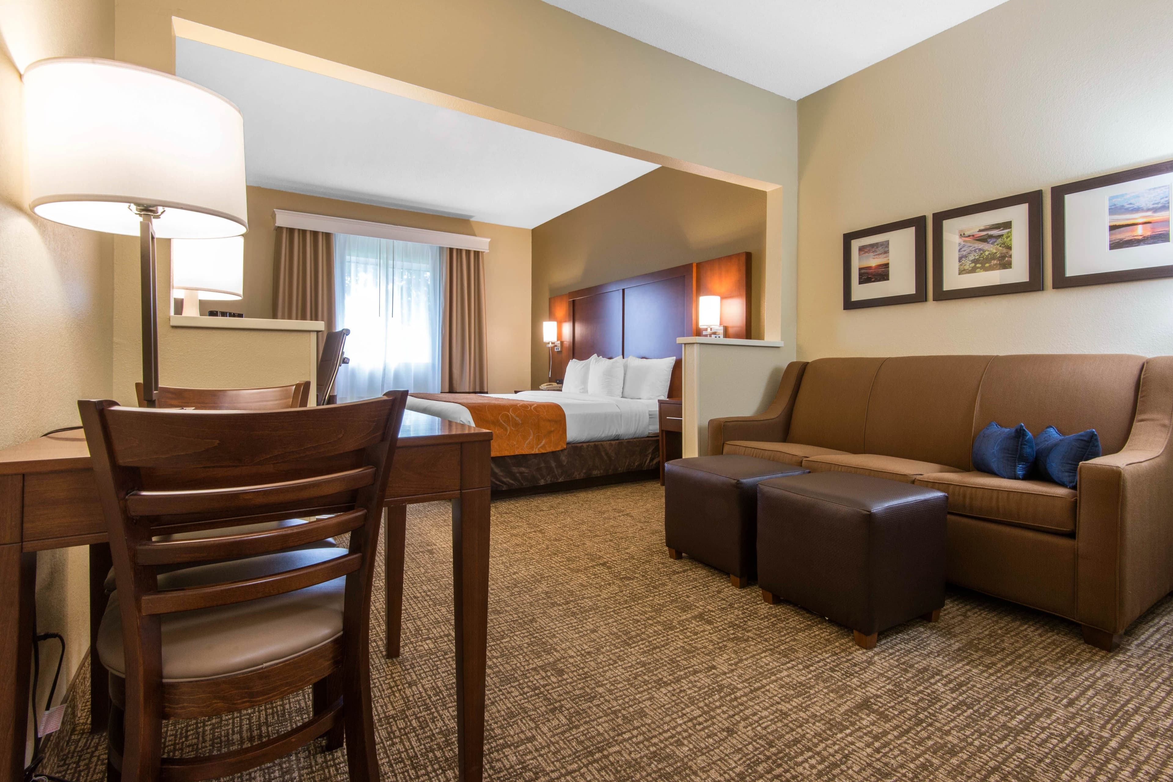 Comfort Suites Rochester Henrietta University Area — 8