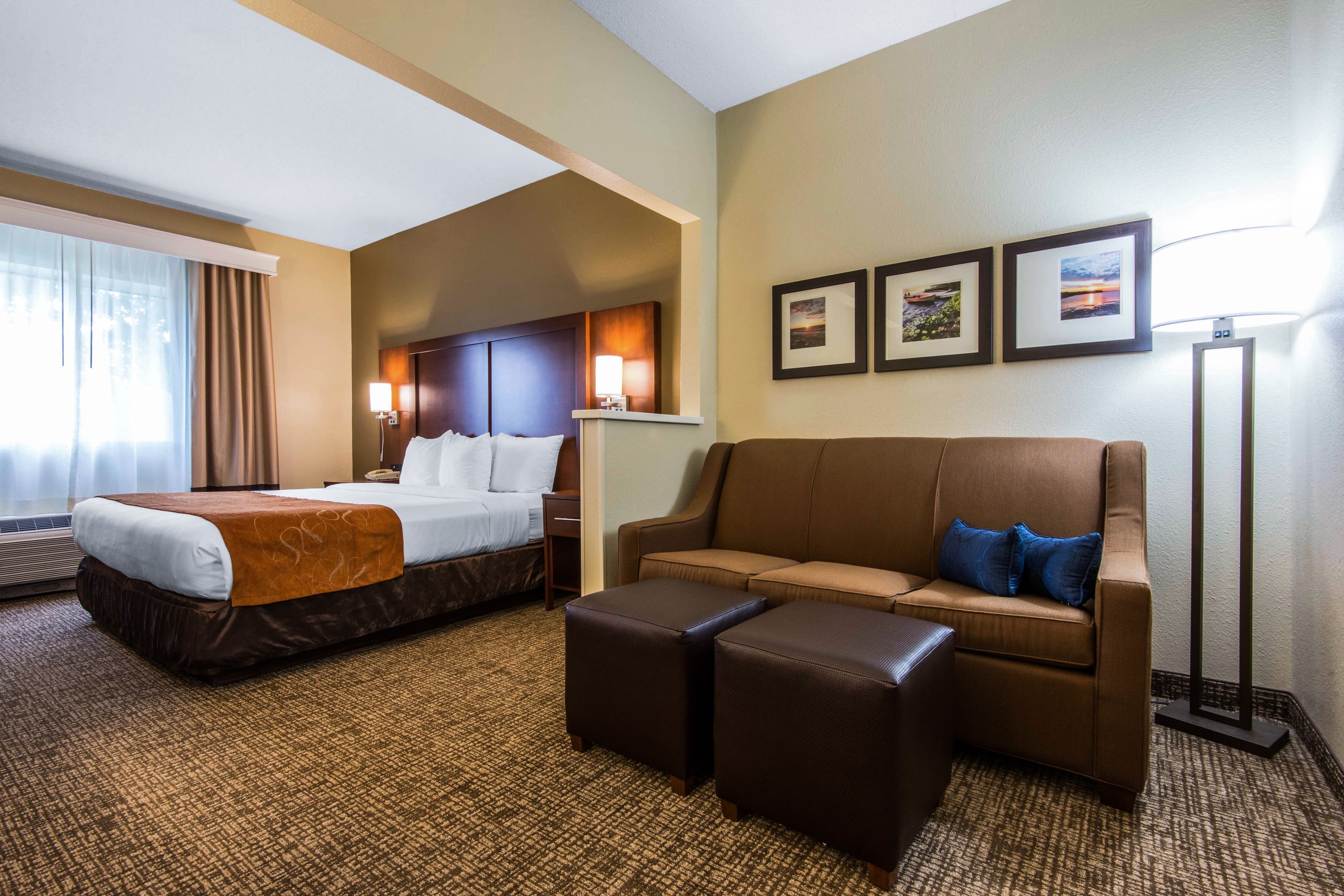 Comfort Suites Rochester Henrietta University Area — 9
