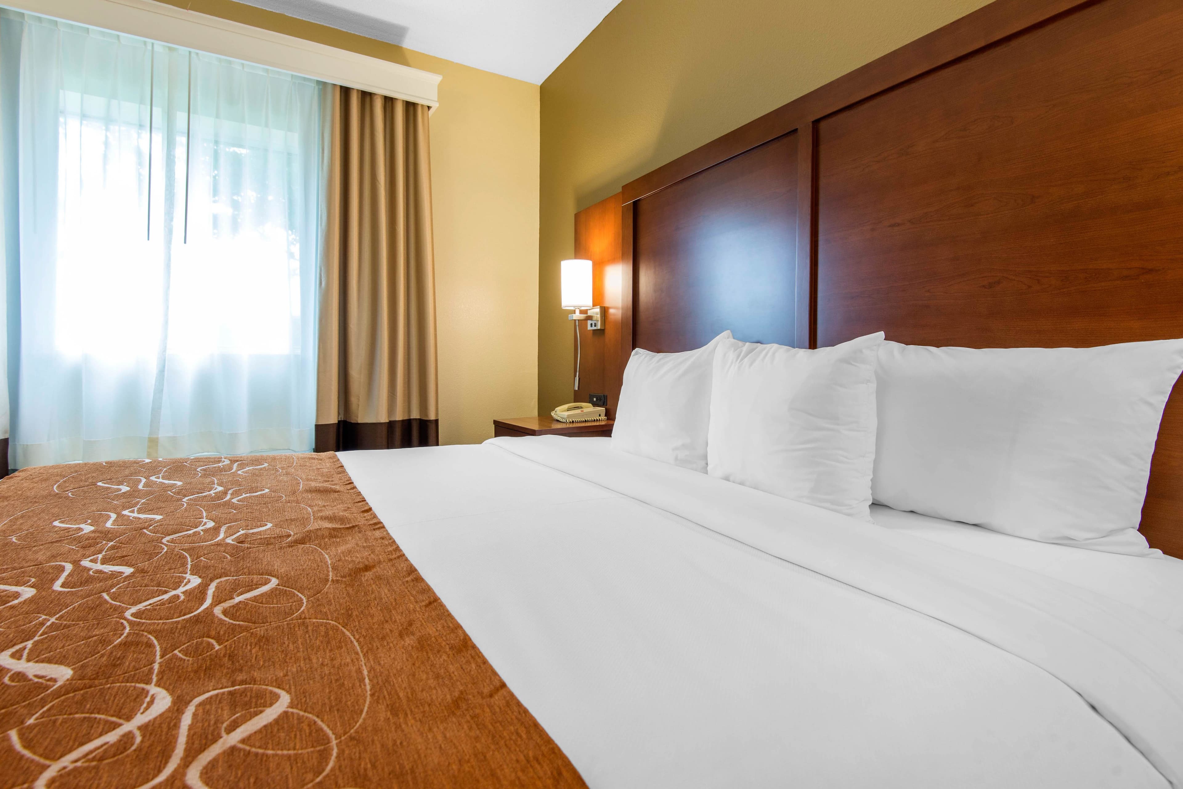 Comfort Suites Rochester Henrietta University Area — 10