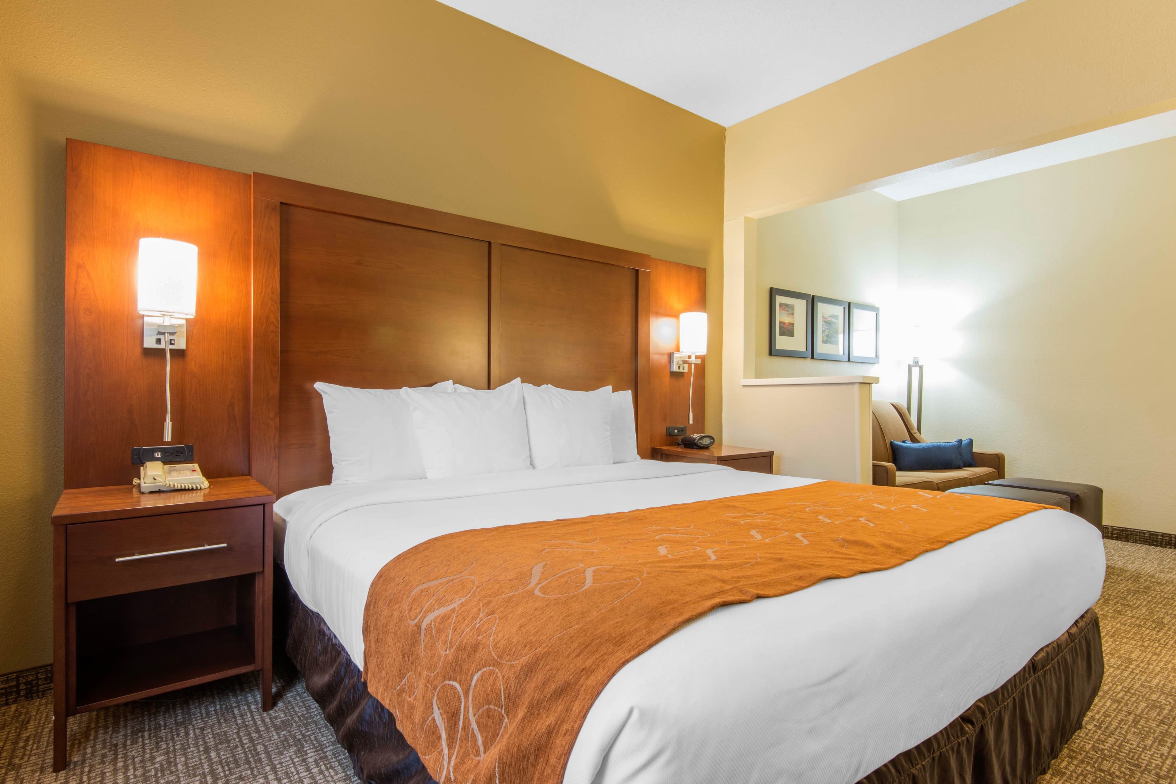 Comfort Suites Rochester Henrietta University Area — 12