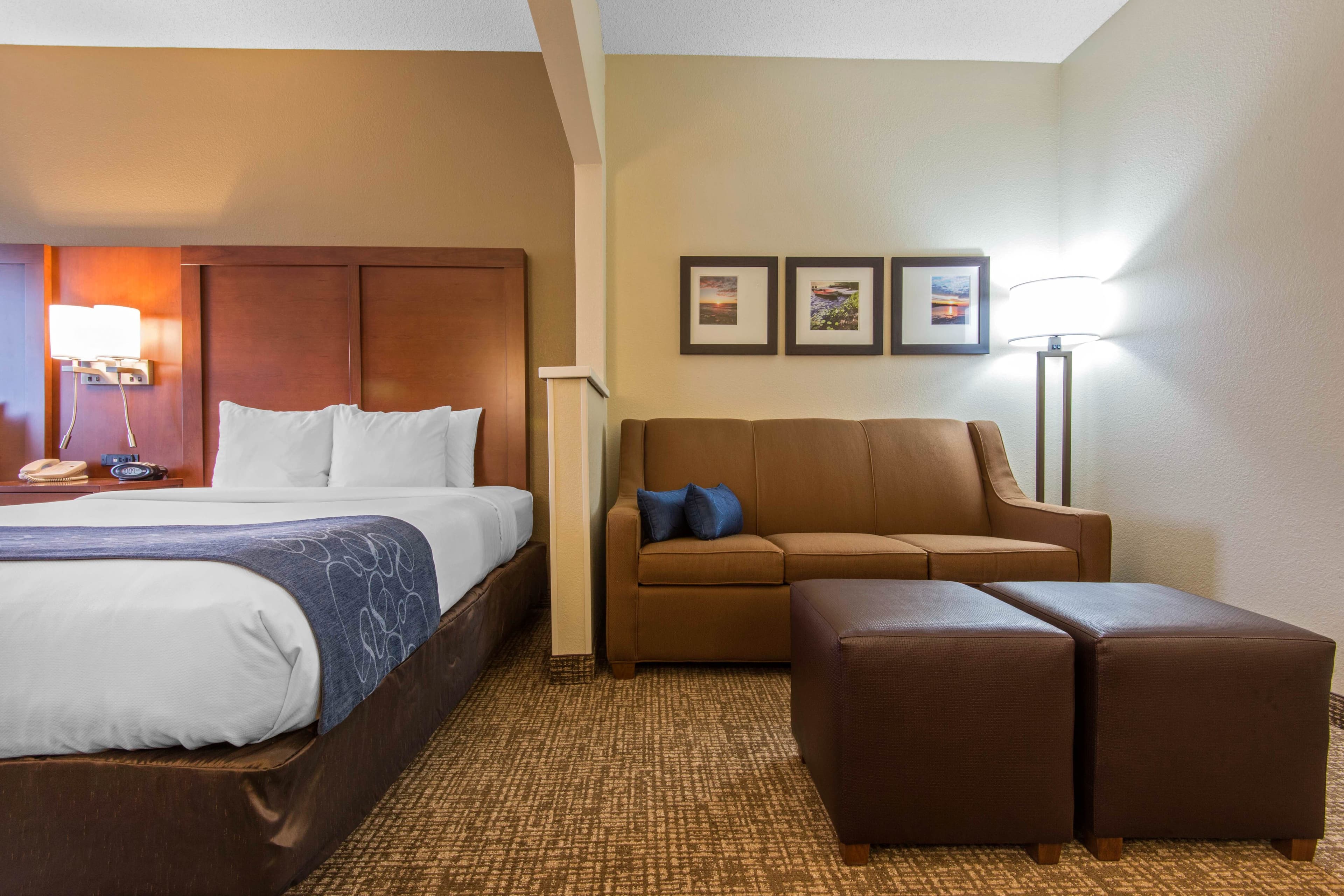 Comfort Suites Rochester Henrietta University Area - Image 3