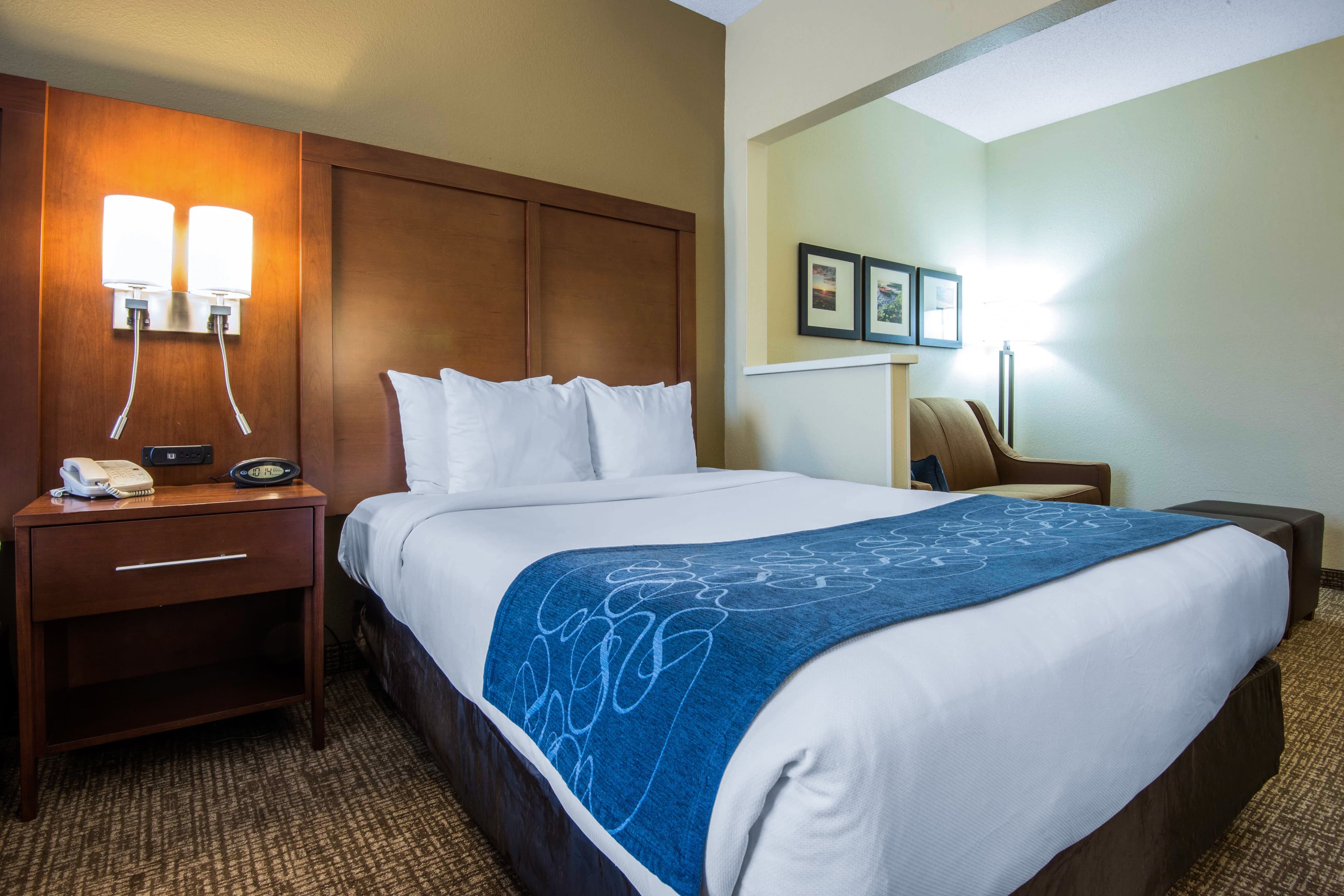 Comfort Suites Rochester Henrietta University Area - Image 5