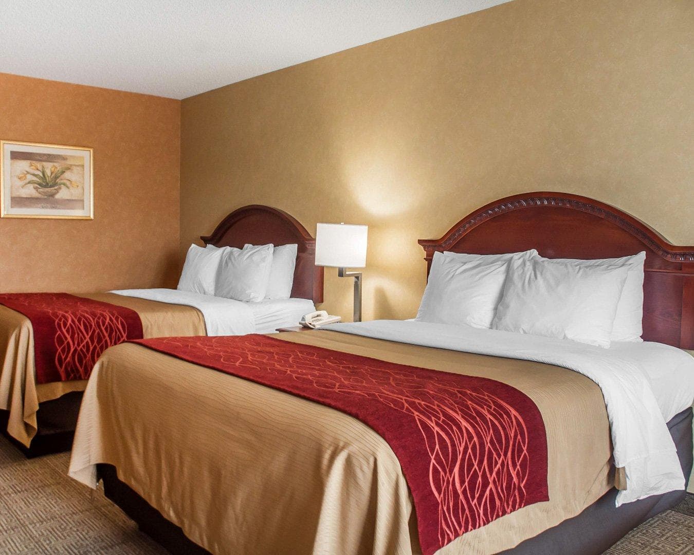 Quality Inn Near Walden Galleria Mall — 13