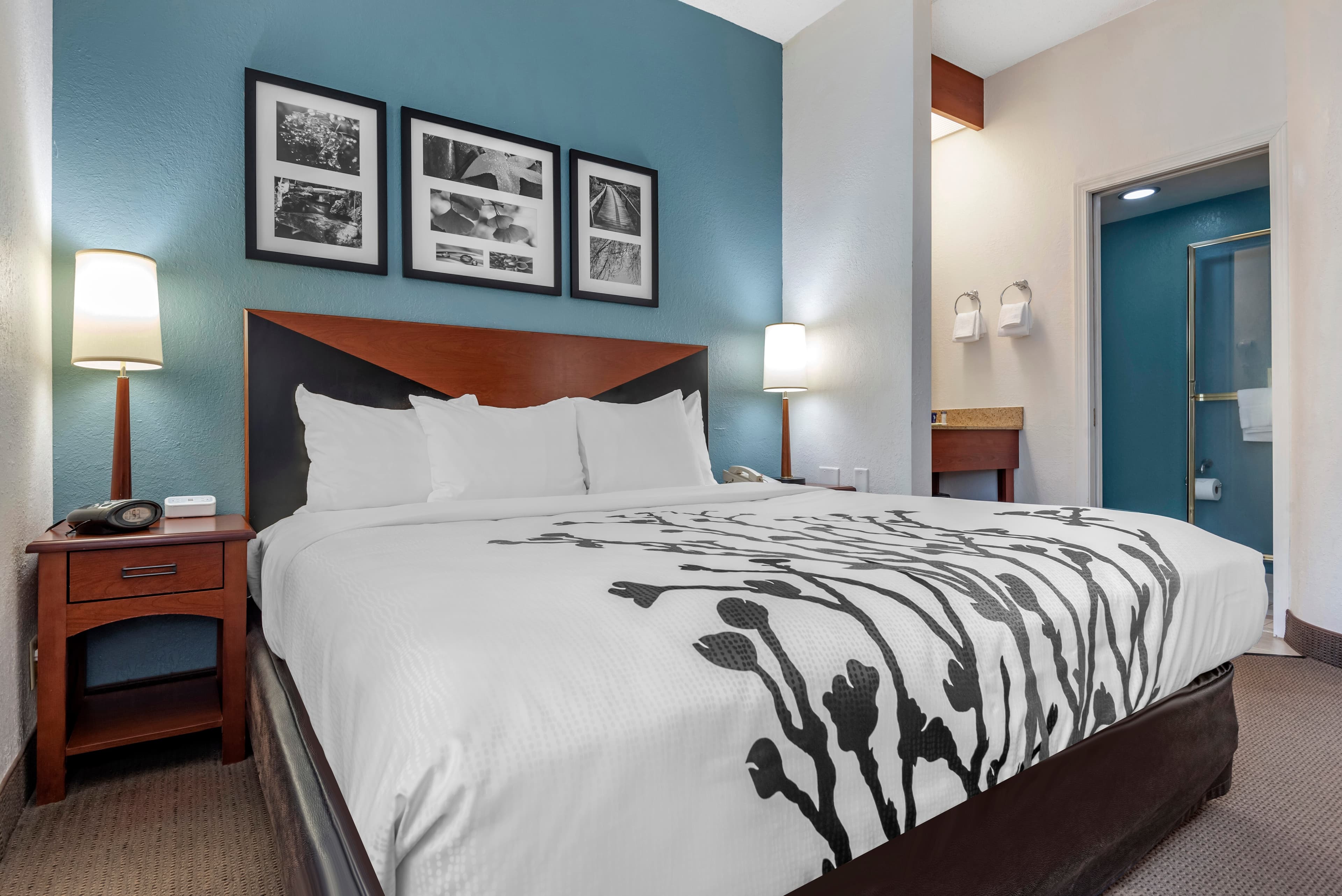 Sleep Inn Amherst - Buffalo North near University — 9