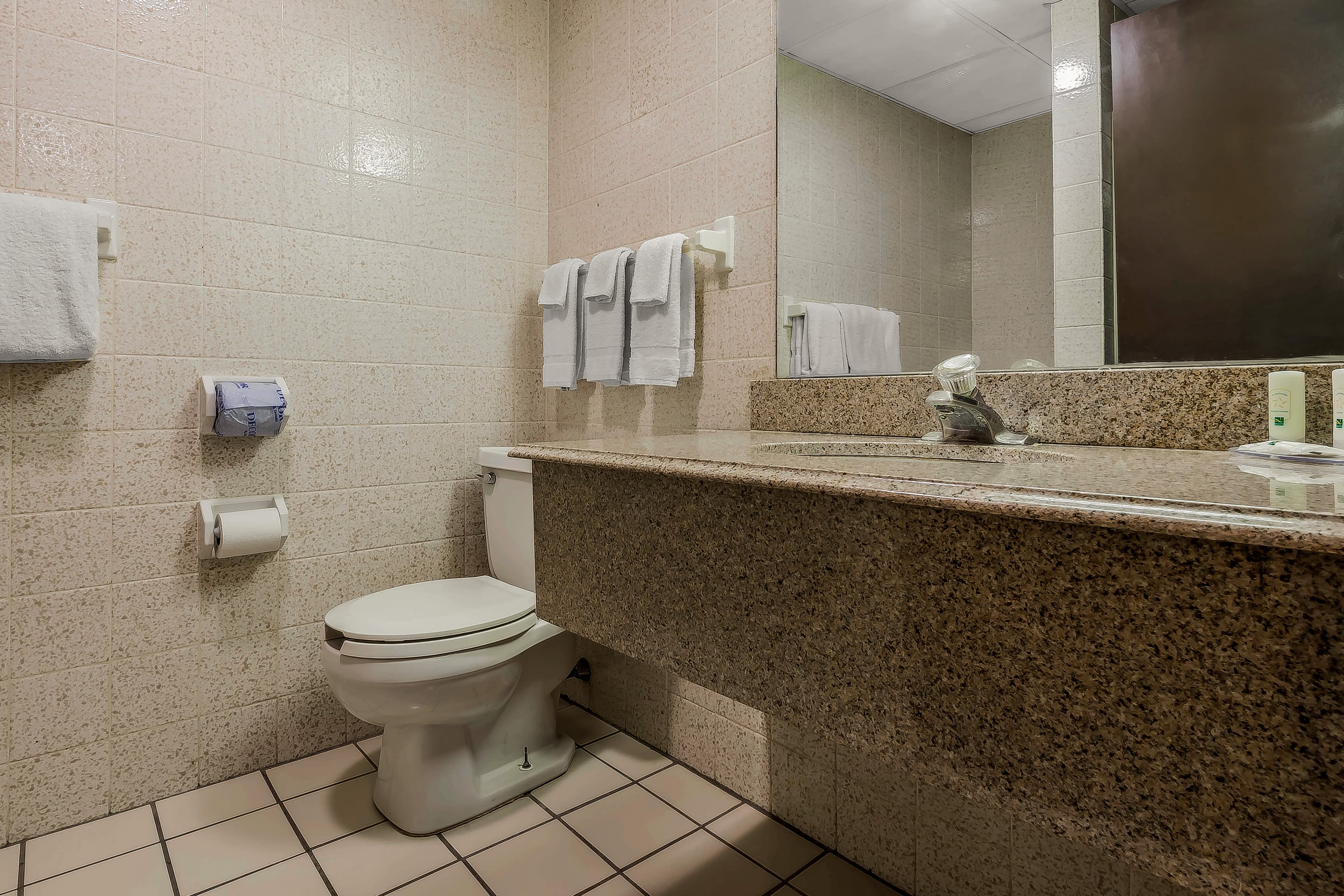 Quality Inn & Suites Binghamton Vestal — 21