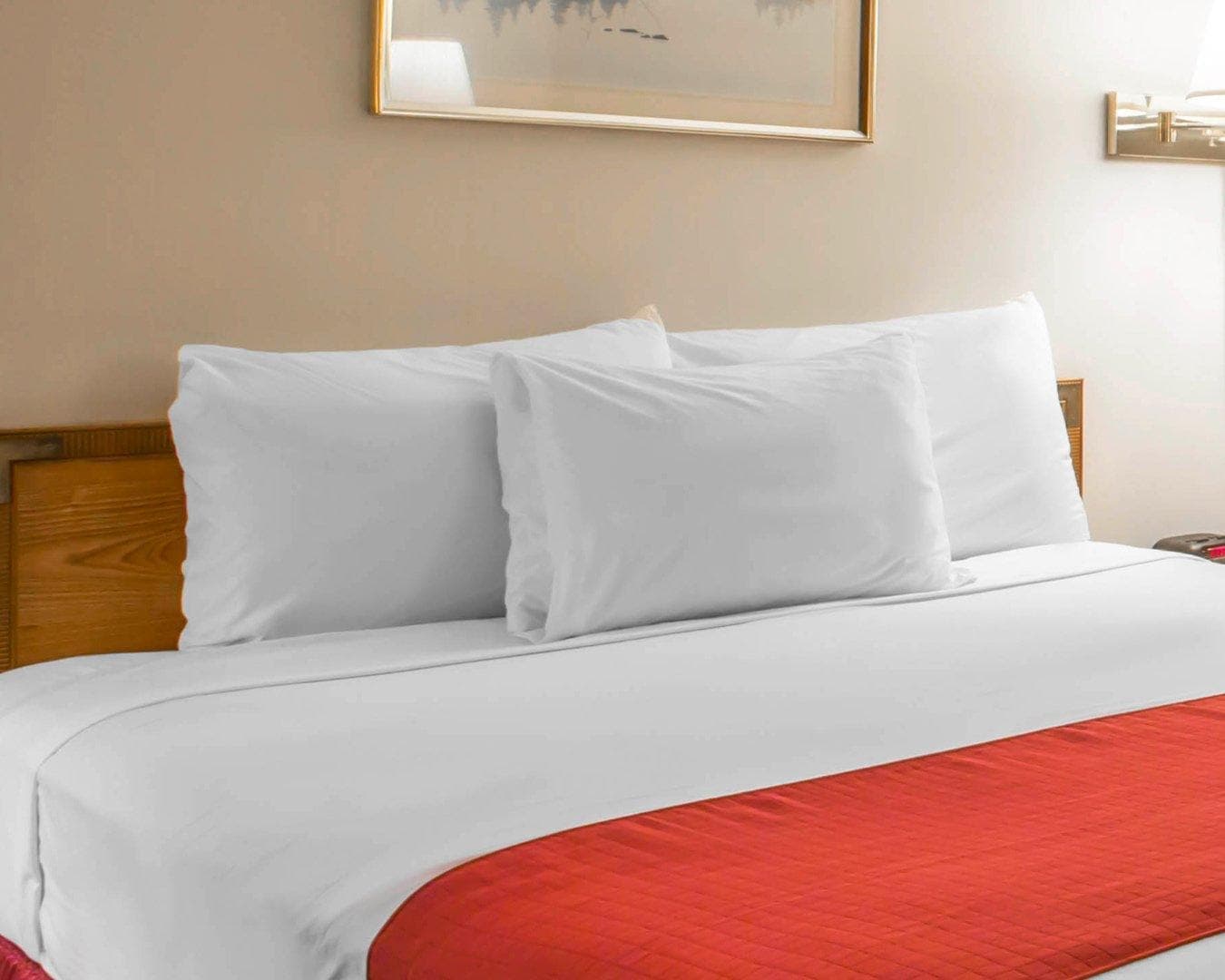 Rodeway Inn Lake Placid South — 8