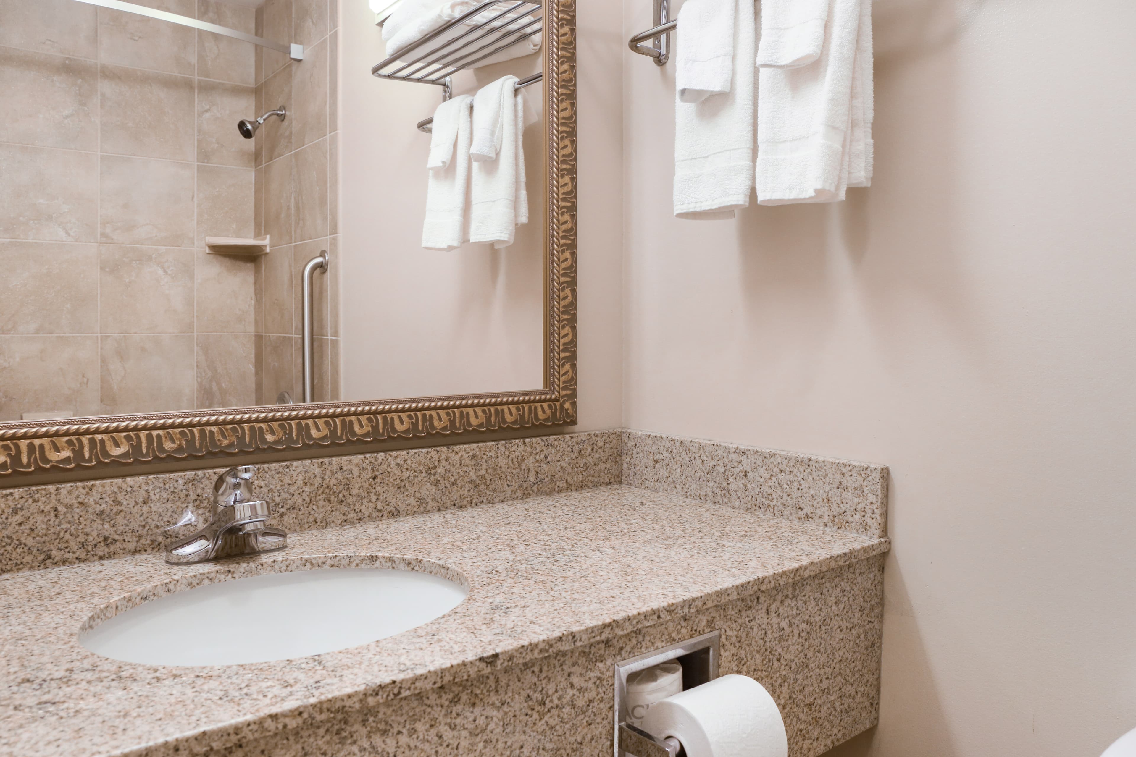 Econo Lodge Darien Lakes — 17