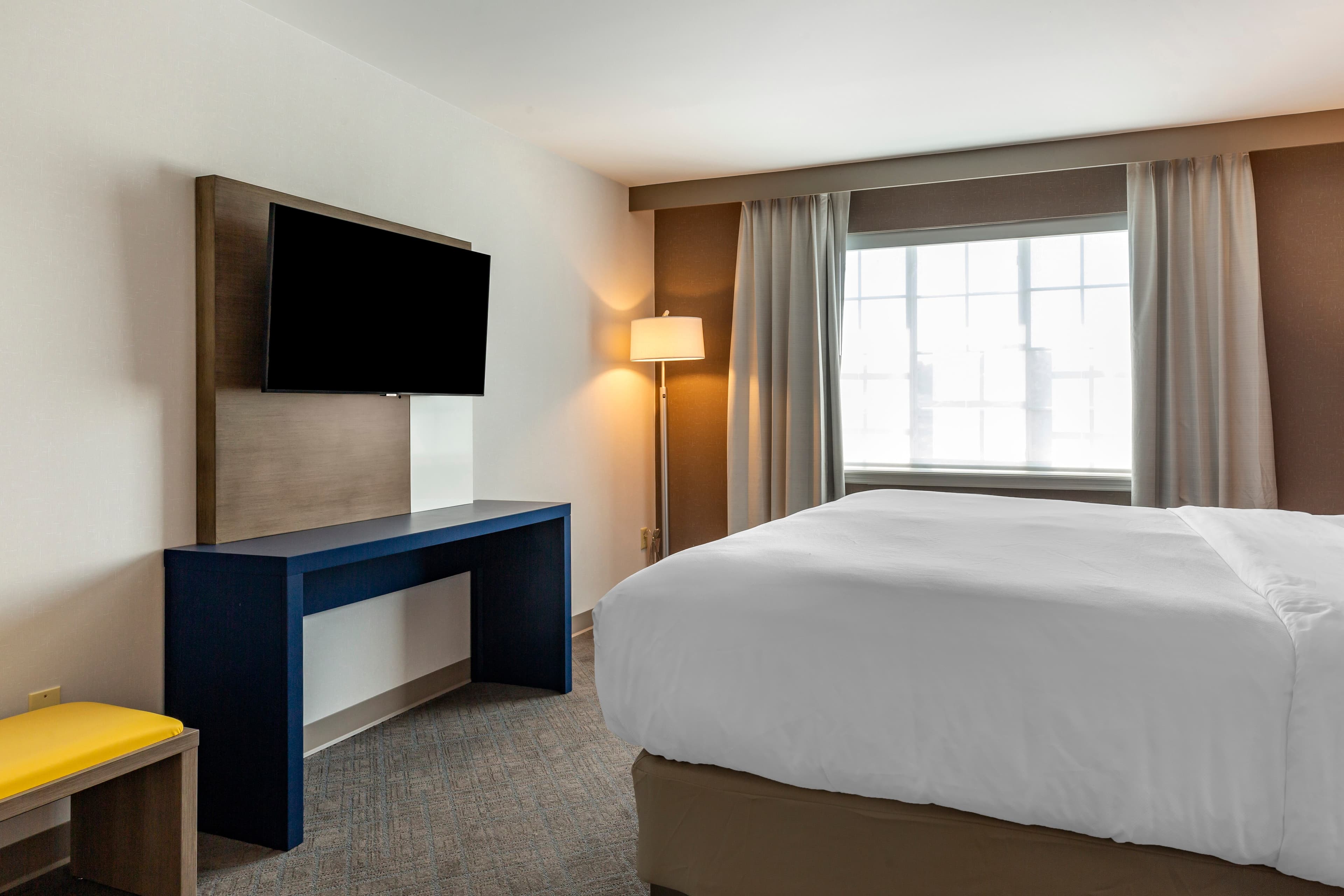 Comfort Inn & Suites East Greenbush - Albany — 15