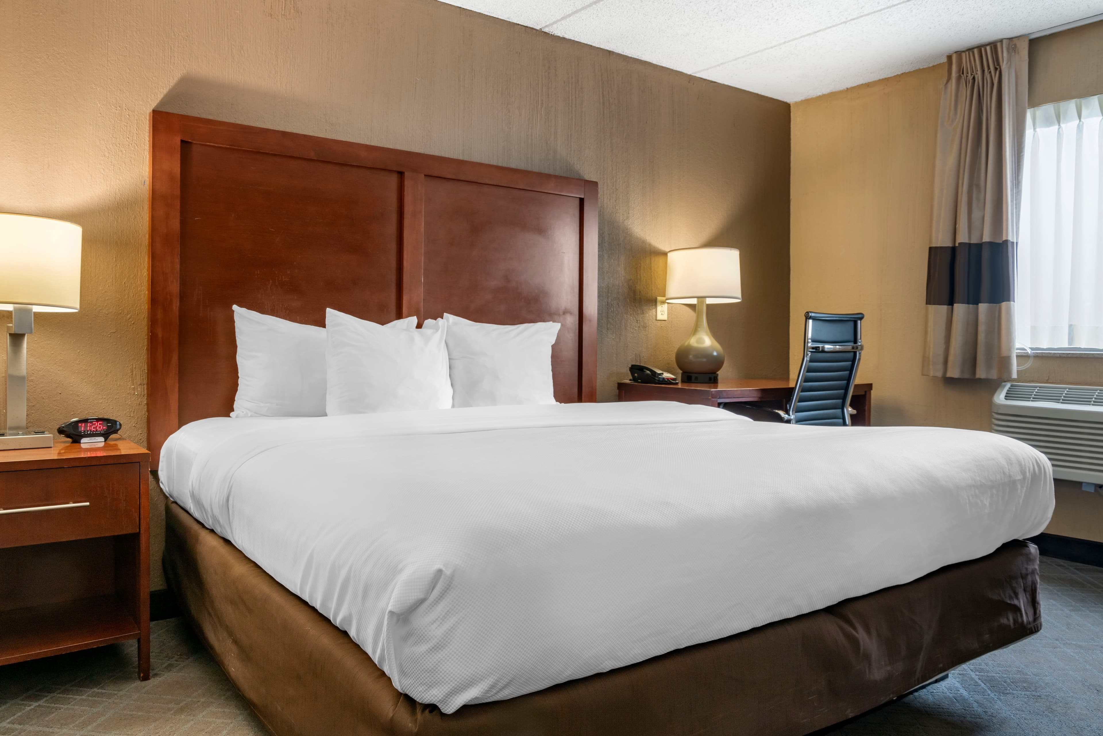 Comfort Inn University — 16
