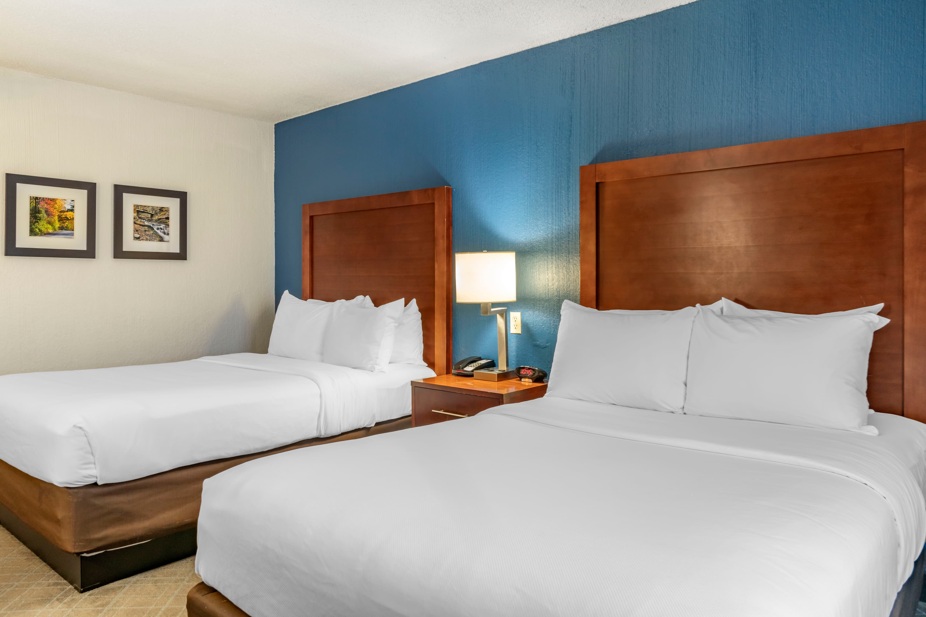 Comfort Inn University - Image 4
