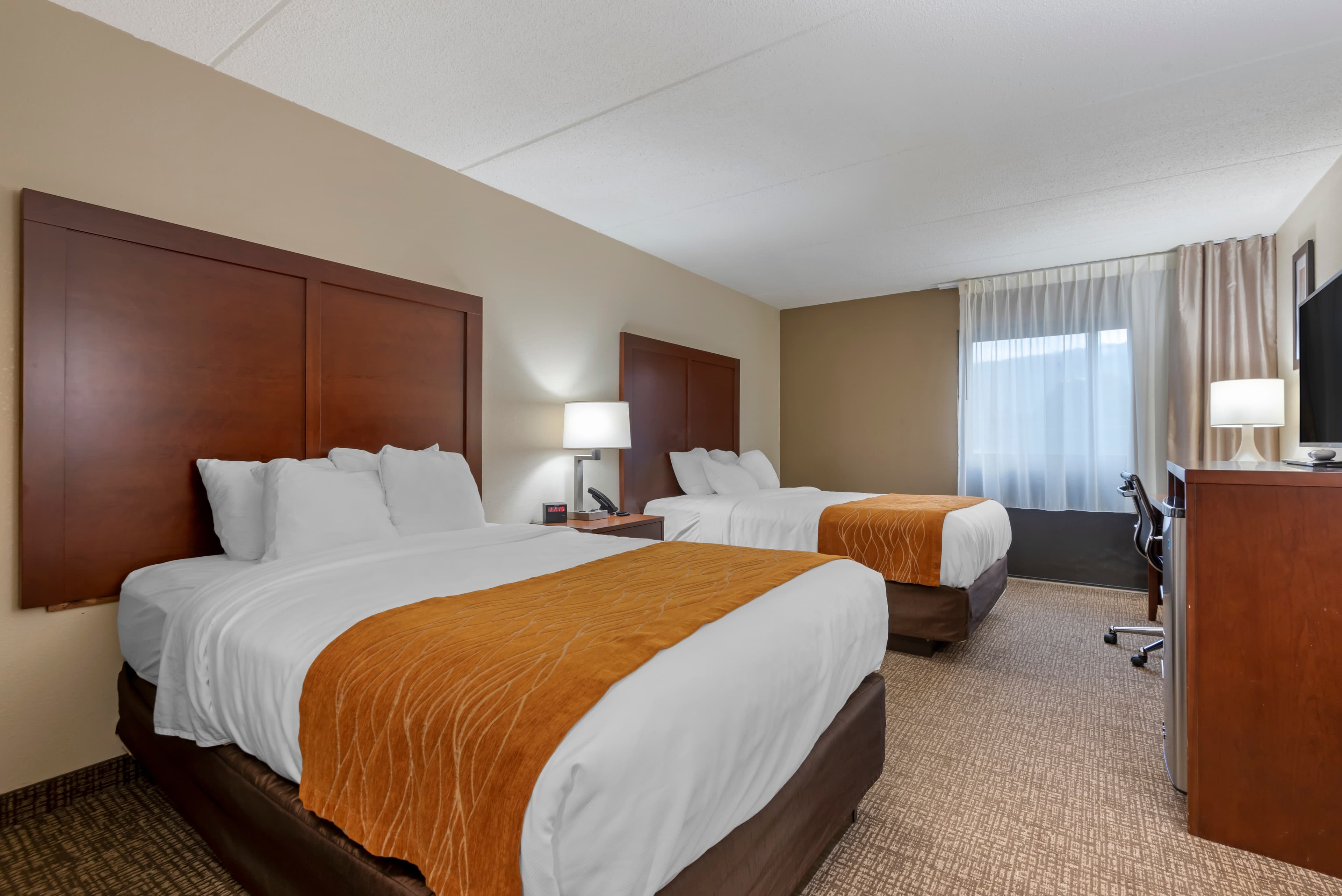 Comfort Inn Binghamton I-81 - Image 2