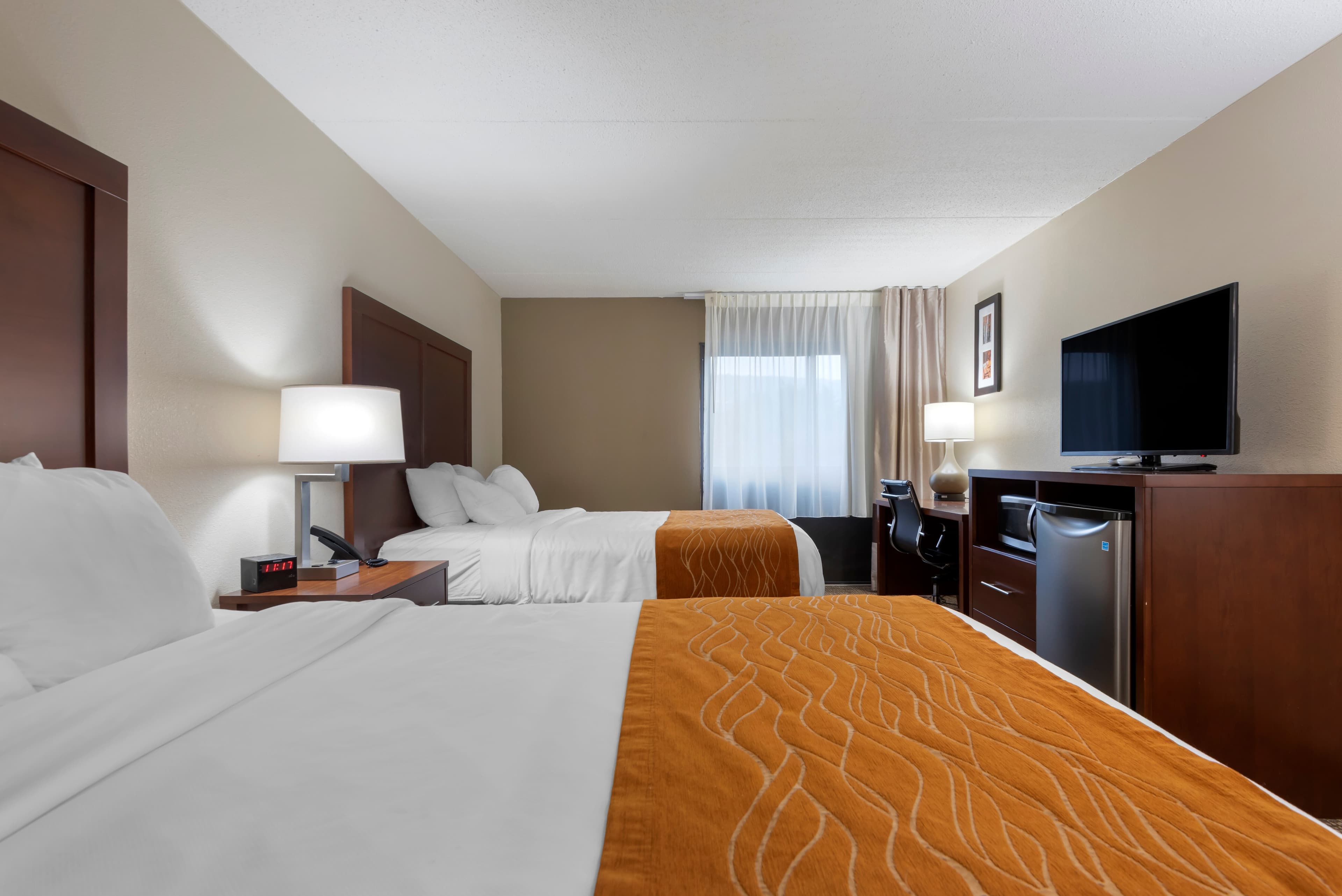 Comfort Inn Binghamton I-81 - Image 3