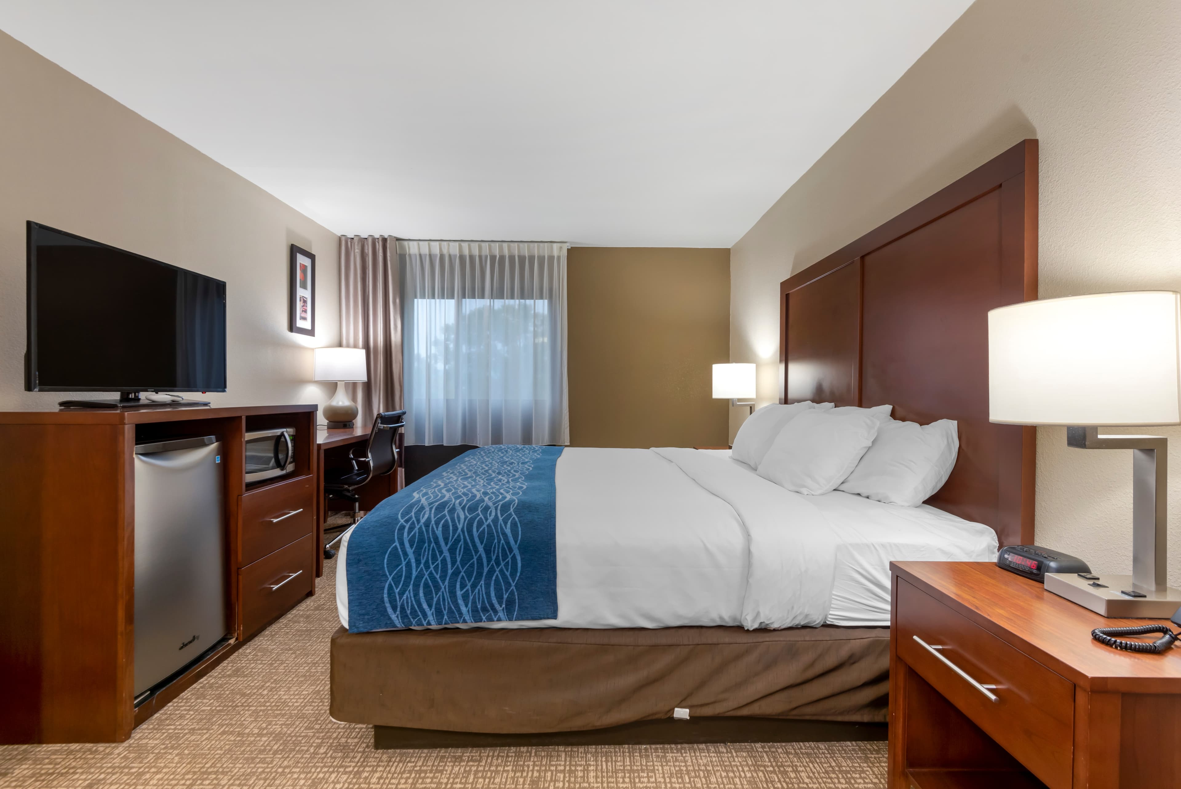 Comfort Inn Binghamton I-81 — 10