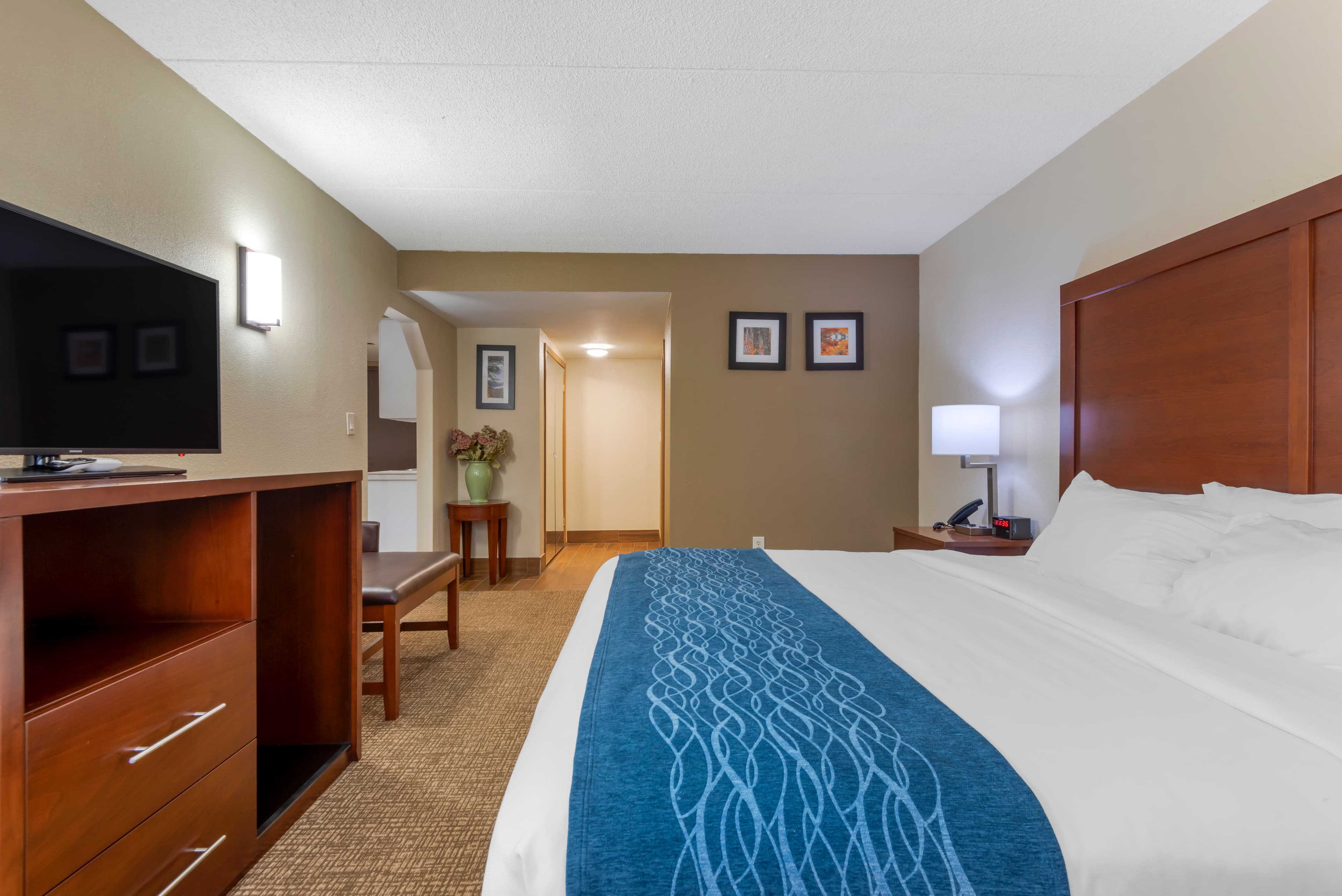 Comfort Inn Binghamton I-81 — 26