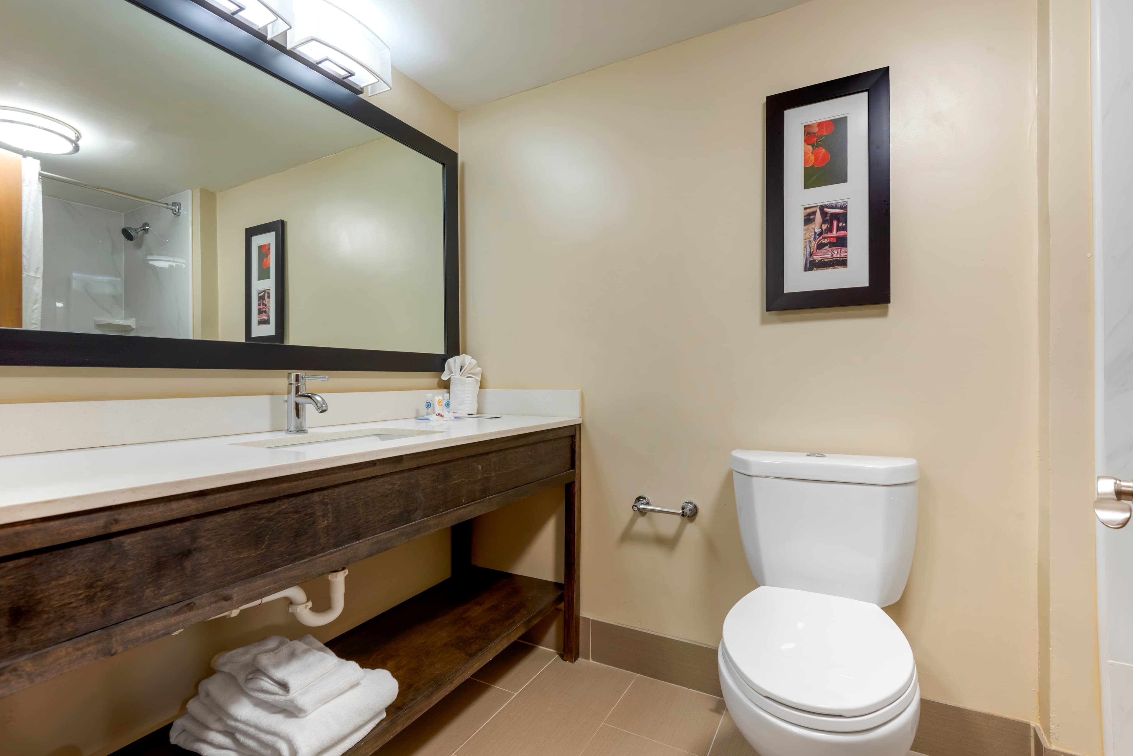 Comfort Inn Binghamton I-81 — 27