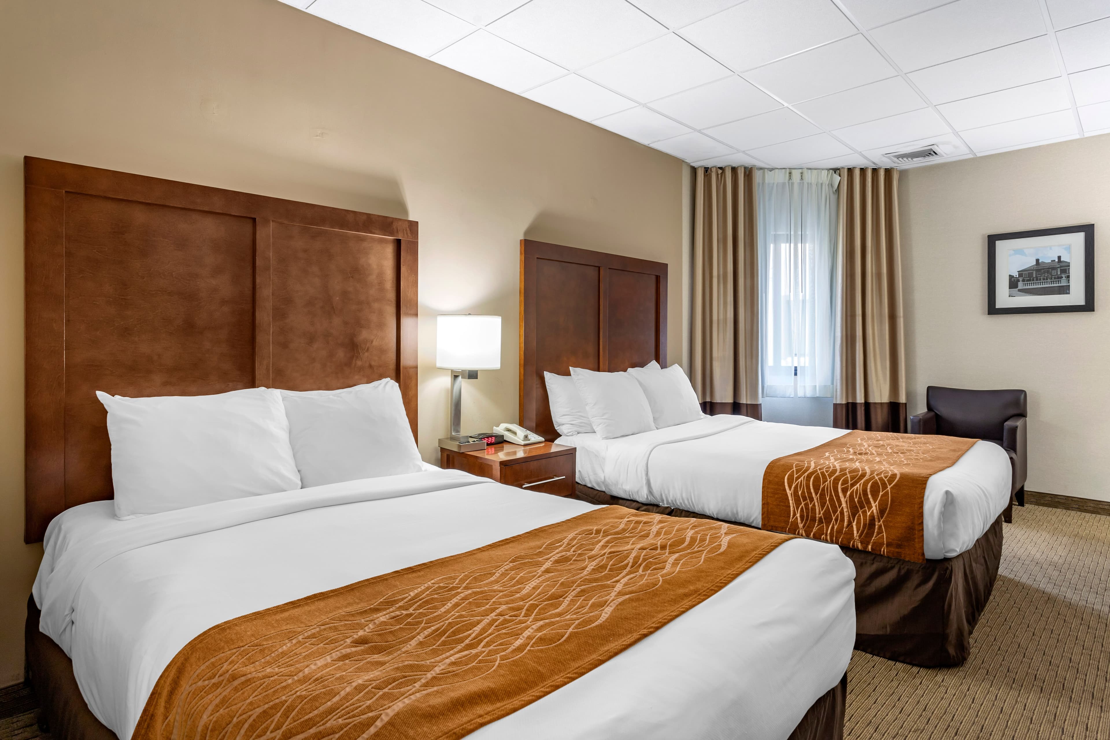 Comfort Inn Syosset-Long Island - Image 2