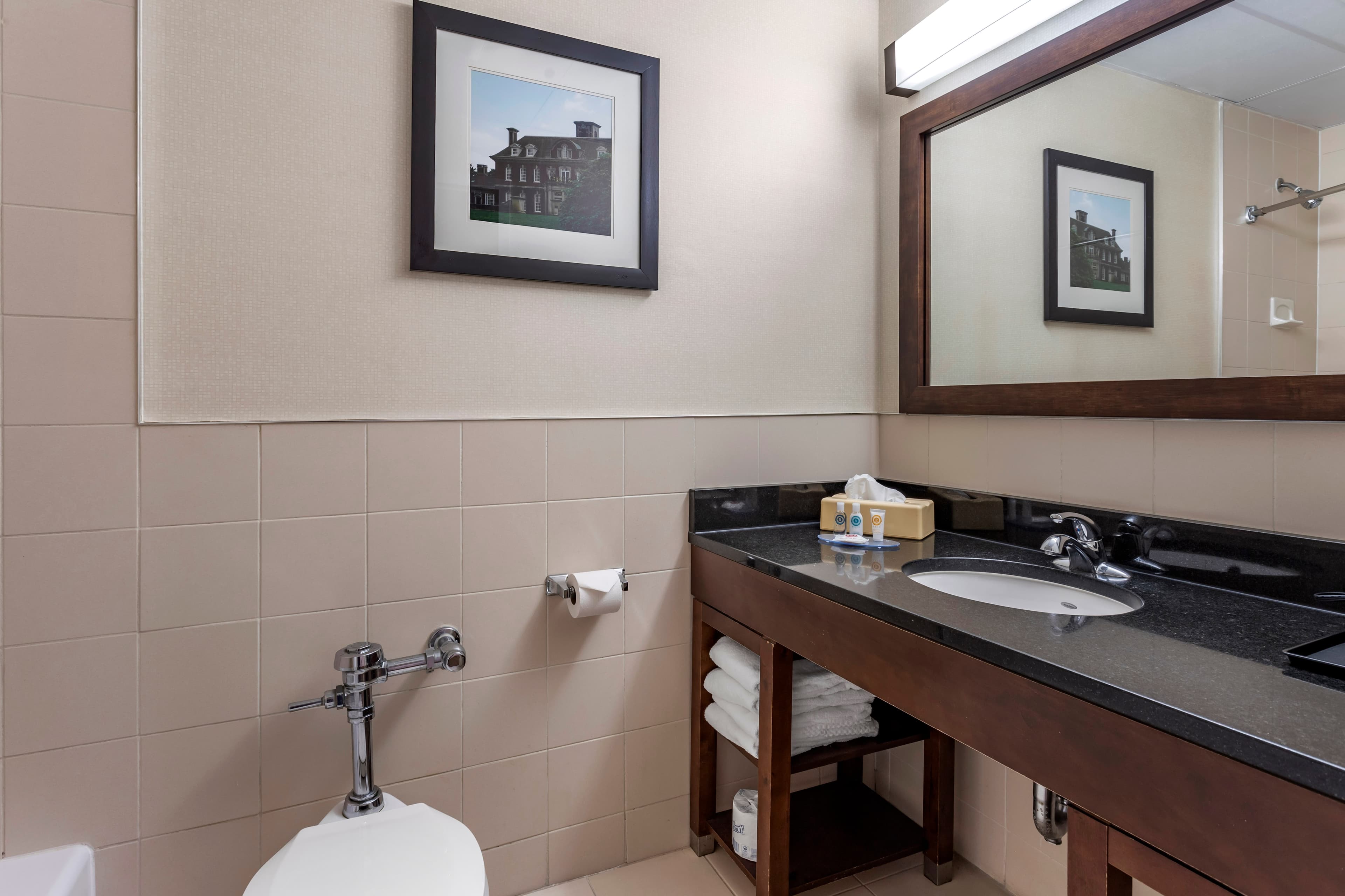 Comfort Inn Syosset-Long Island - Image 5