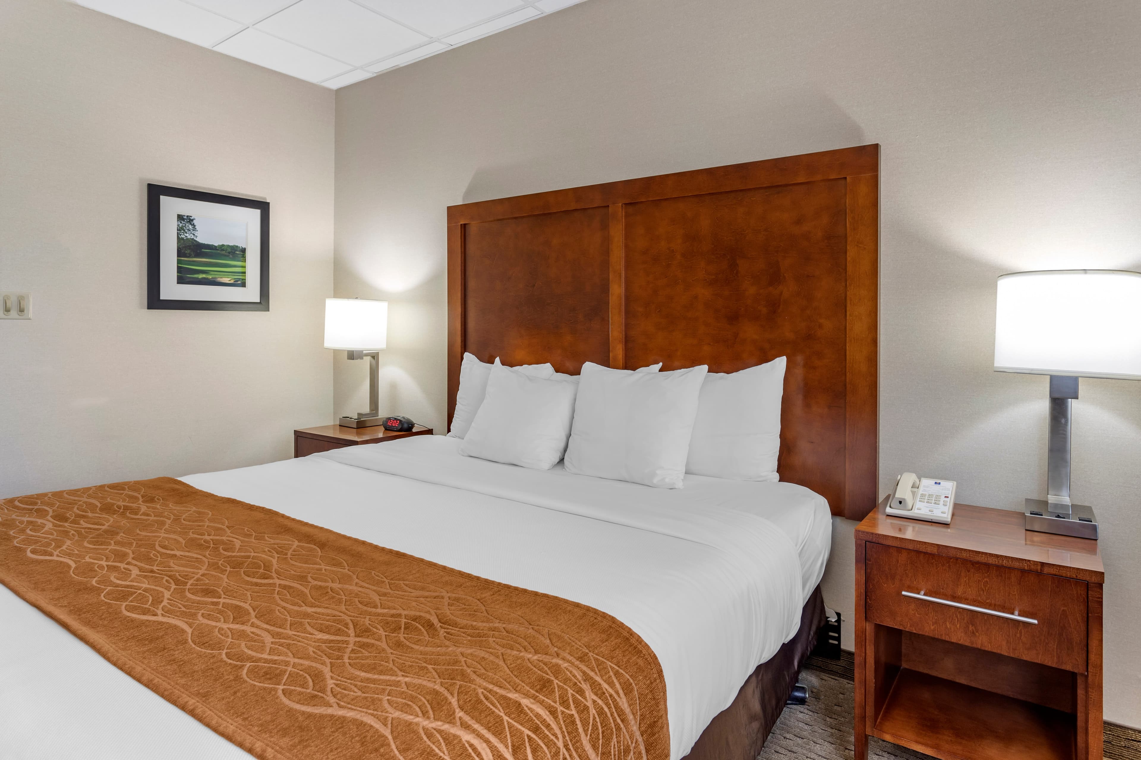 Comfort Inn Syosset-Long Island — 19