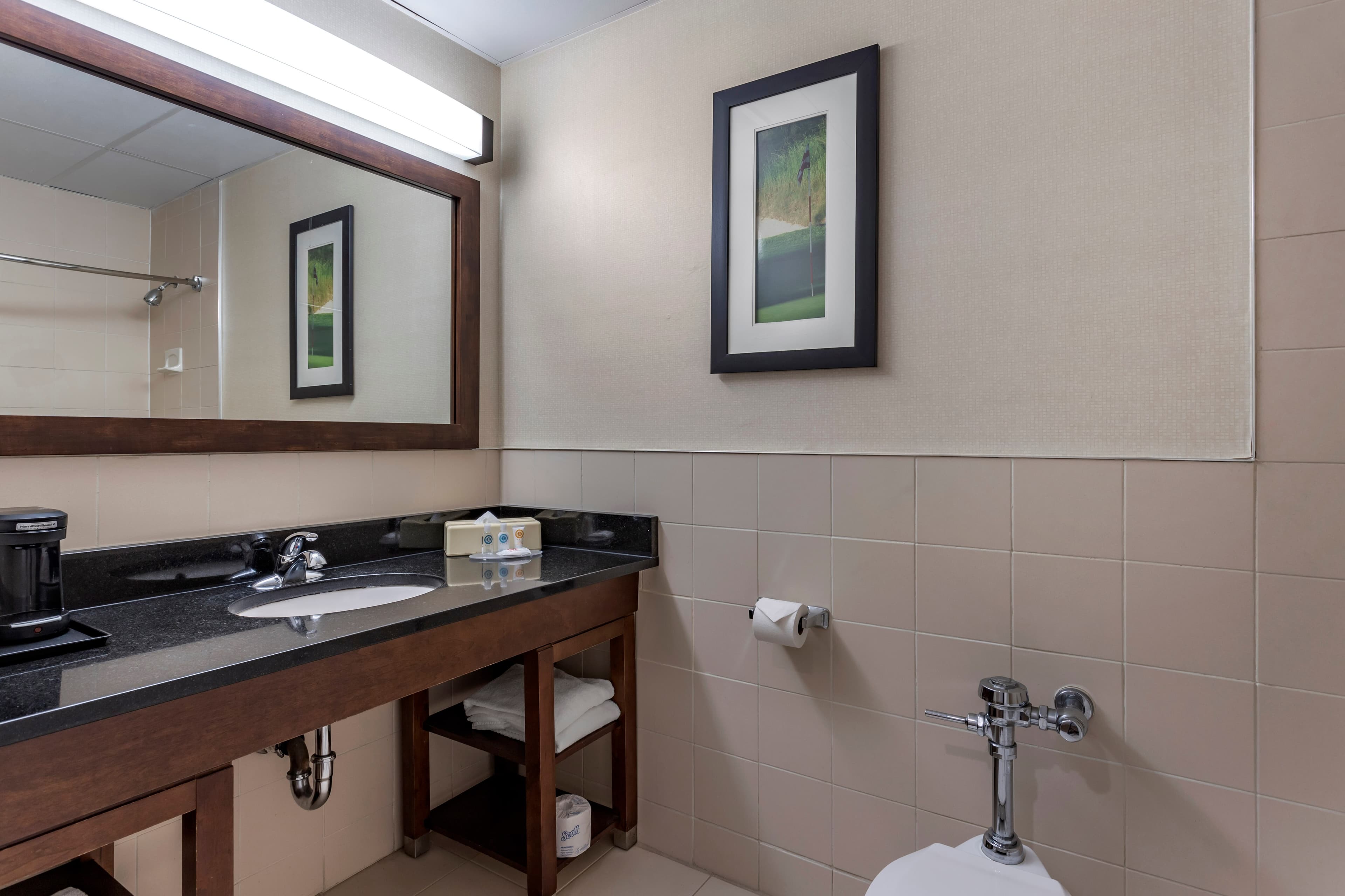 Comfort Inn Syosset-Long Island — 21