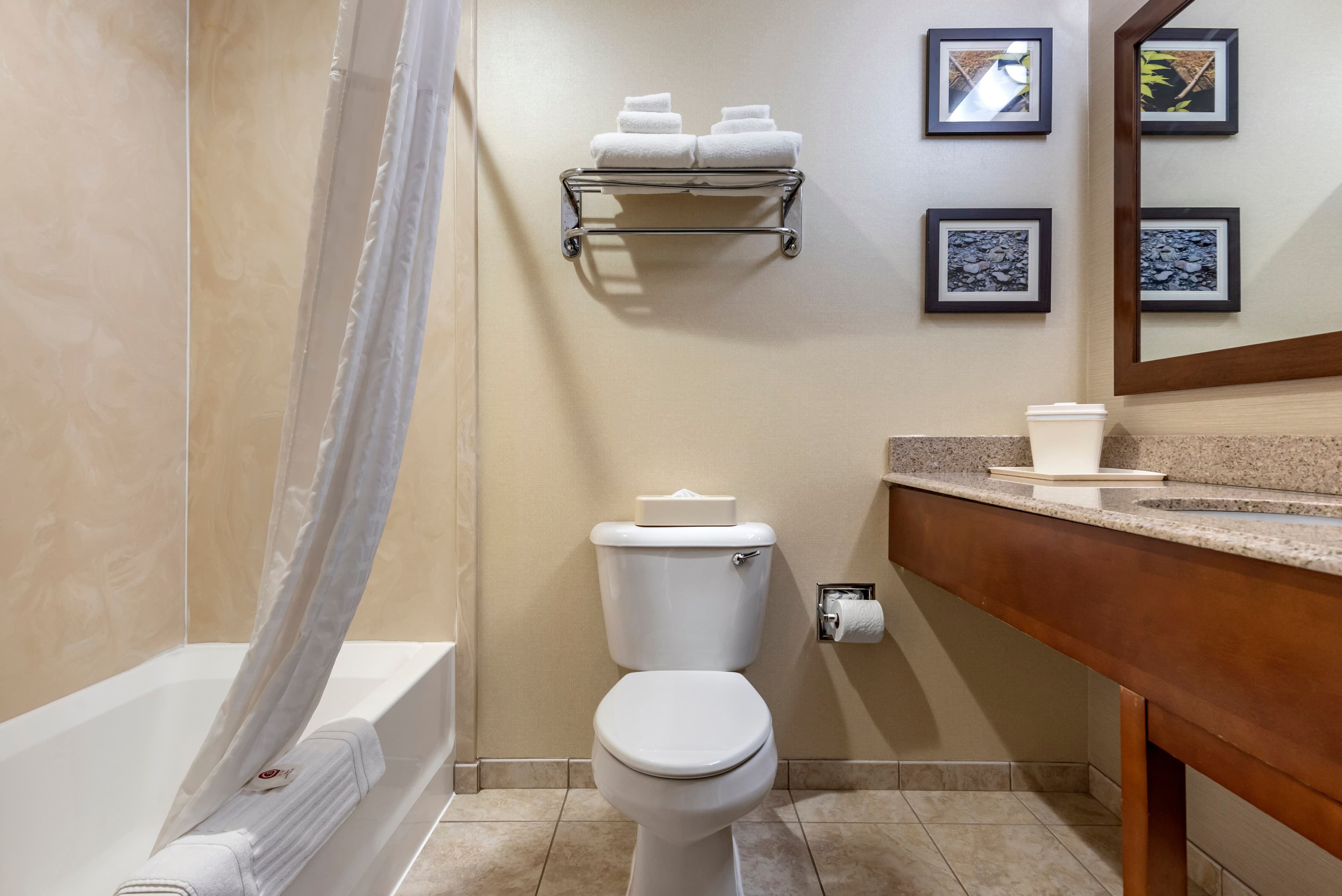 Comfort Inn & Suites Farmington - Victor — 11