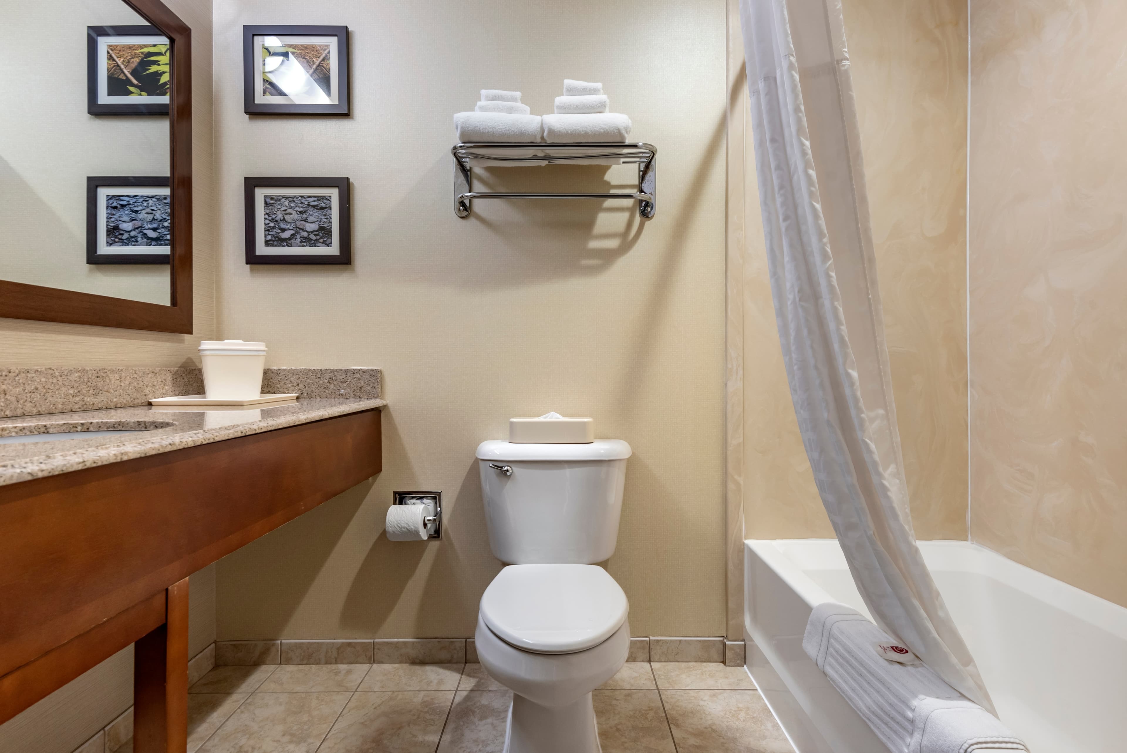 Comfort Inn & Suites Farmington - Victor — 15