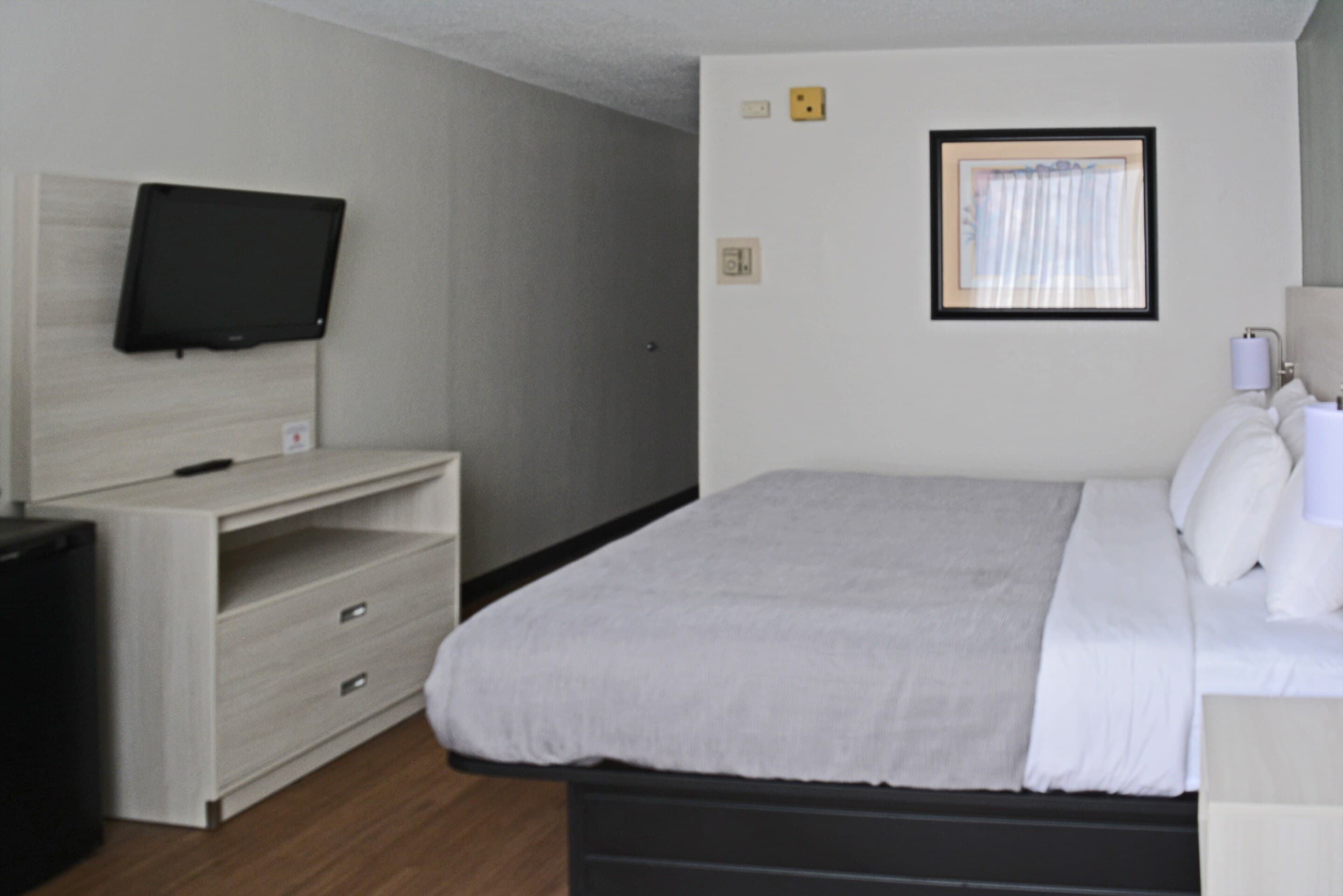 Quality Inn & Suites East Syracuse - Carrier Circle - Image 2