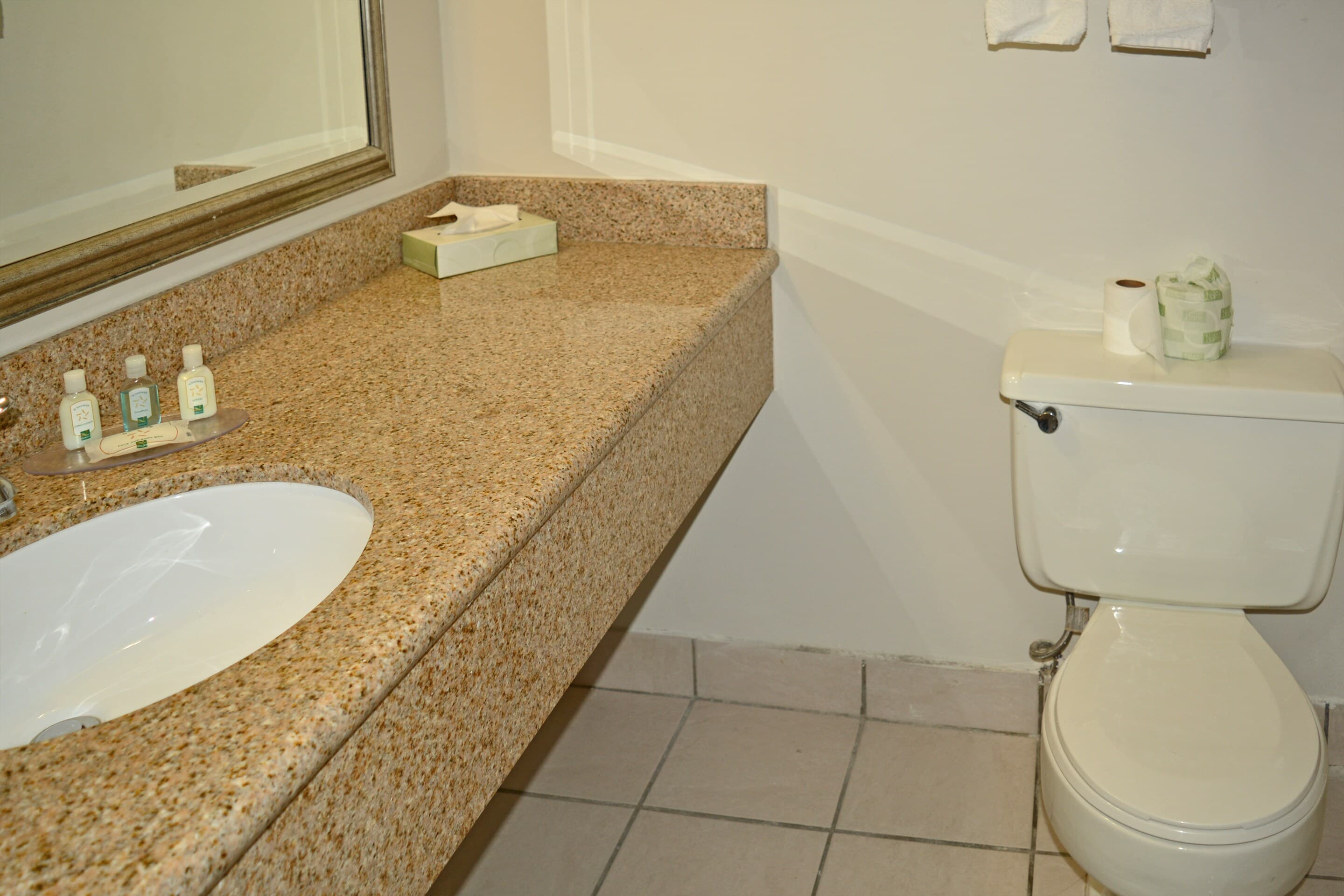 Quality Inn & Suites East Syracuse - Carrier Circle — 26